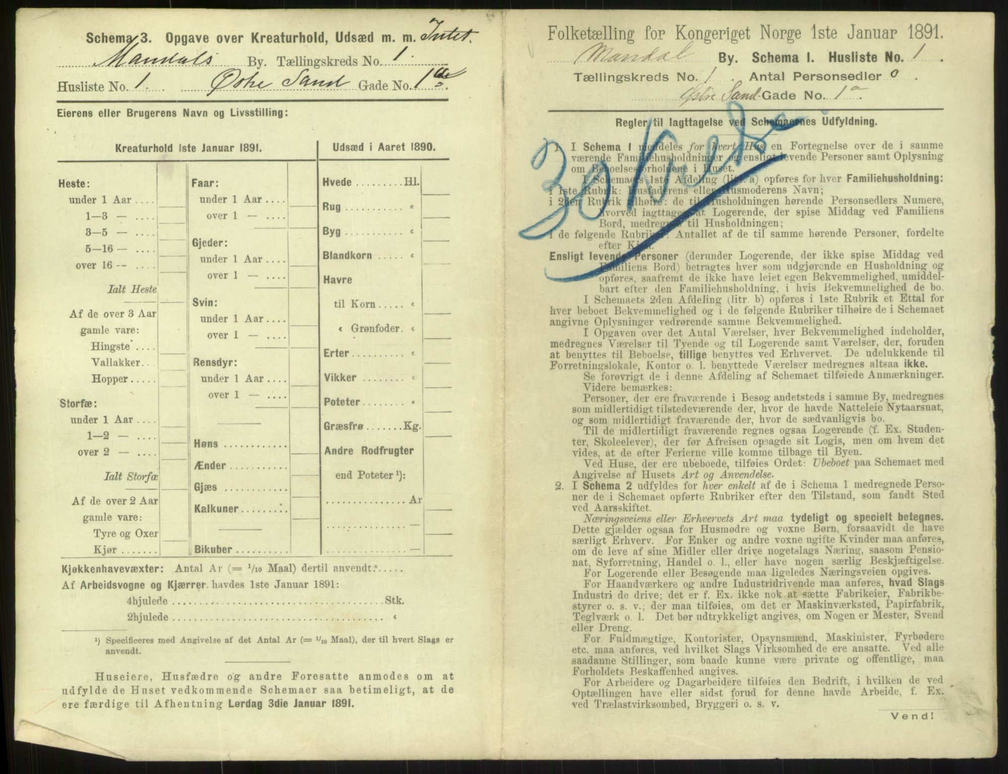 RA, 1891 census for 1002 Mandal, 1891, p. 69