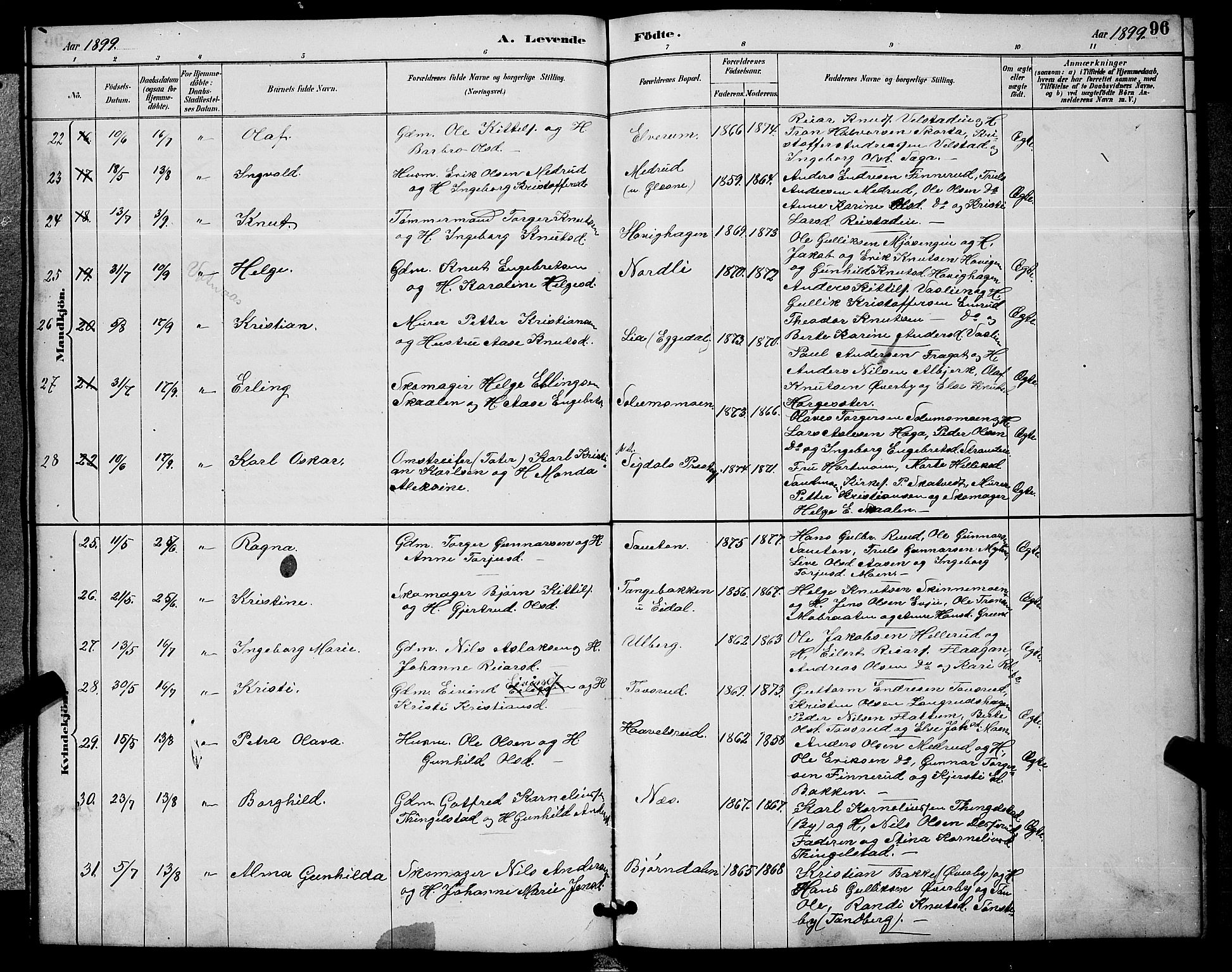 Sigdal kirkebøker, AV/SAKO-A-245/G/Ga/L0005: Parish register (copy) no. I 5, 1886-1900, p. 96