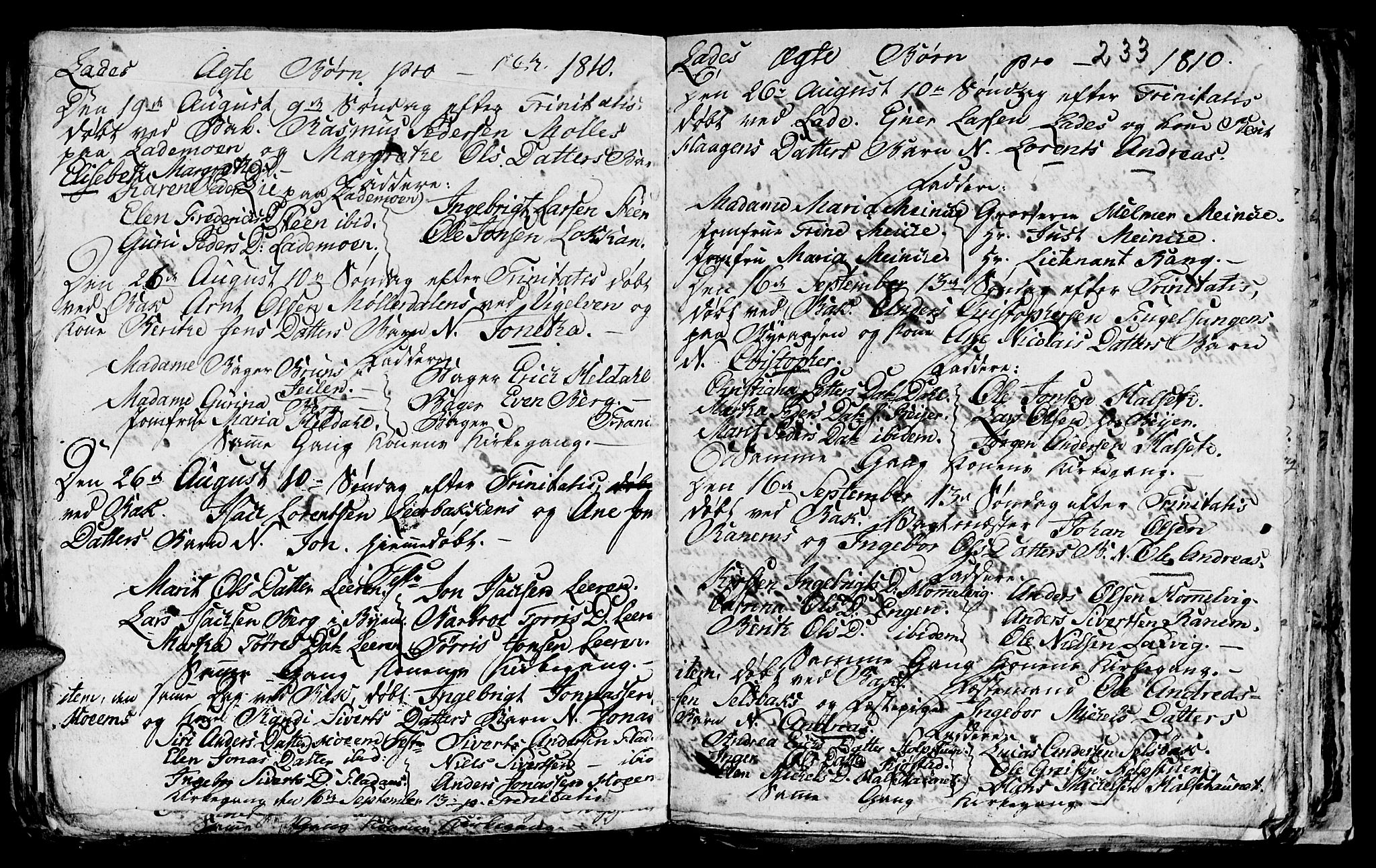 Ministerialprotokoller, klokkerbøker og fødselsregistre - Sør-Trøndelag, AV/SAT-A-1456/606/L0305: Parish register (copy) no. 606C01, 1757-1819, p. 233