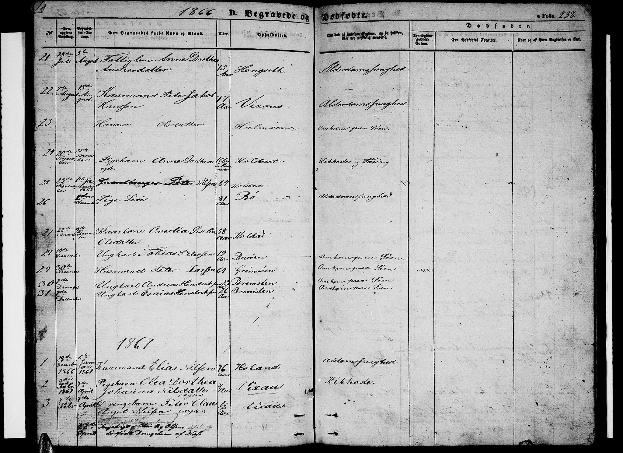 Ministerialprotokoller, klokkerbøker og fødselsregistre - Nordland, SAT/A-1459/816/L0251: Parish register (copy) no. 816C01, 1852-1870, p. 238