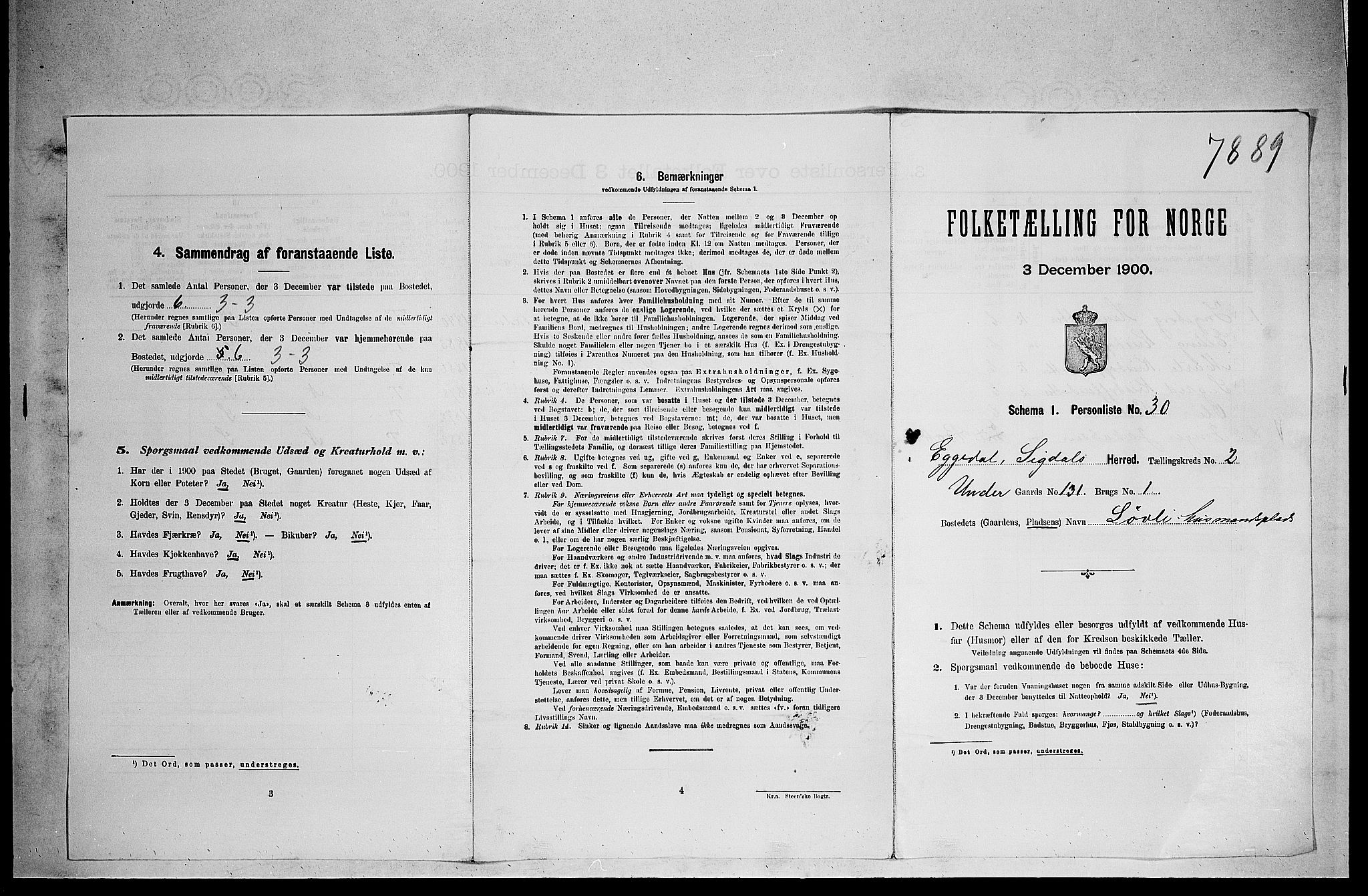 RA, 1900 census for Sigdal, 1900, p. 1929