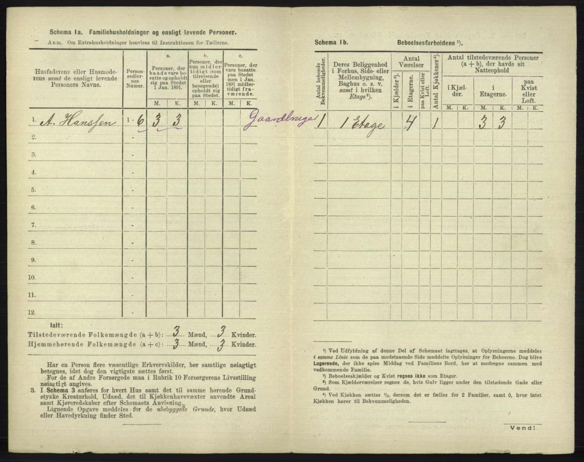 RA, 1891 census for 1804 Bodø, 1891, p. 3896