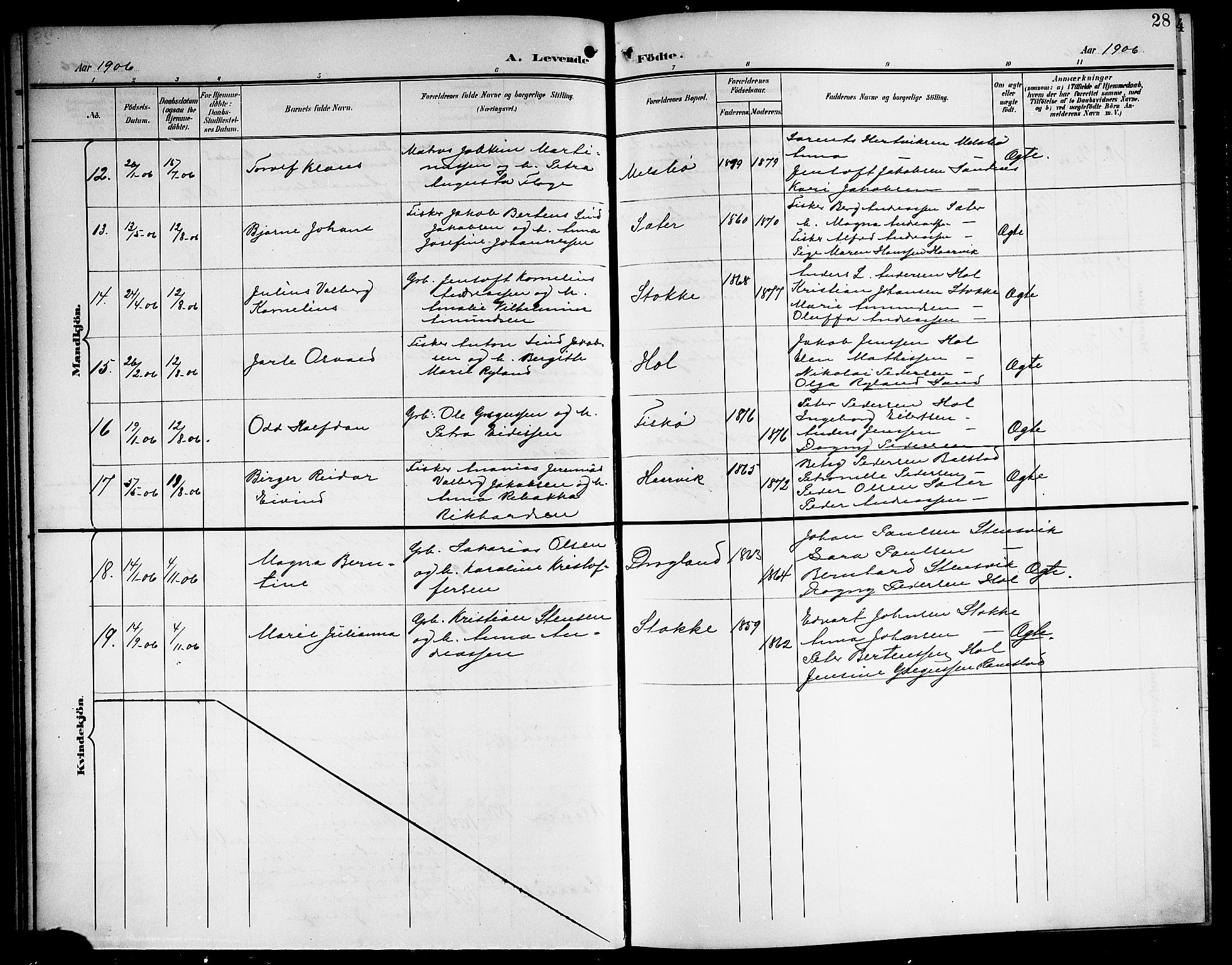 Ministerialprotokoller, klokkerbøker og fødselsregistre - Nordland, AV/SAT-A-1459/865/L0932: Parish register (copy) no. 865C04, 1901-1917, p. 28