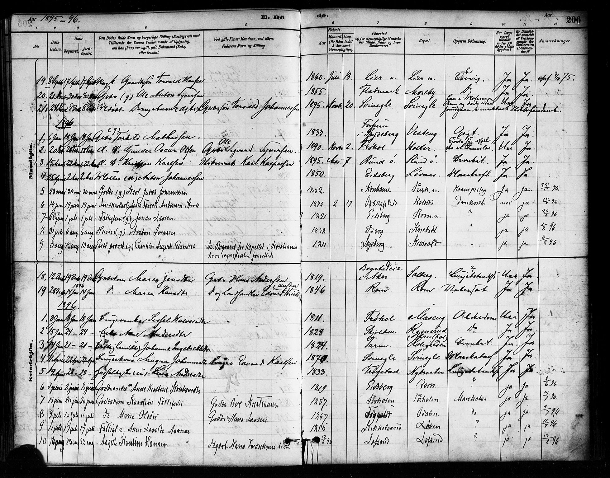 Askim prestekontor Kirkebøker, SAO/A-10900/F/Fa/L0007: Parish register (official) no. 7, 1882-1897, p. 206
