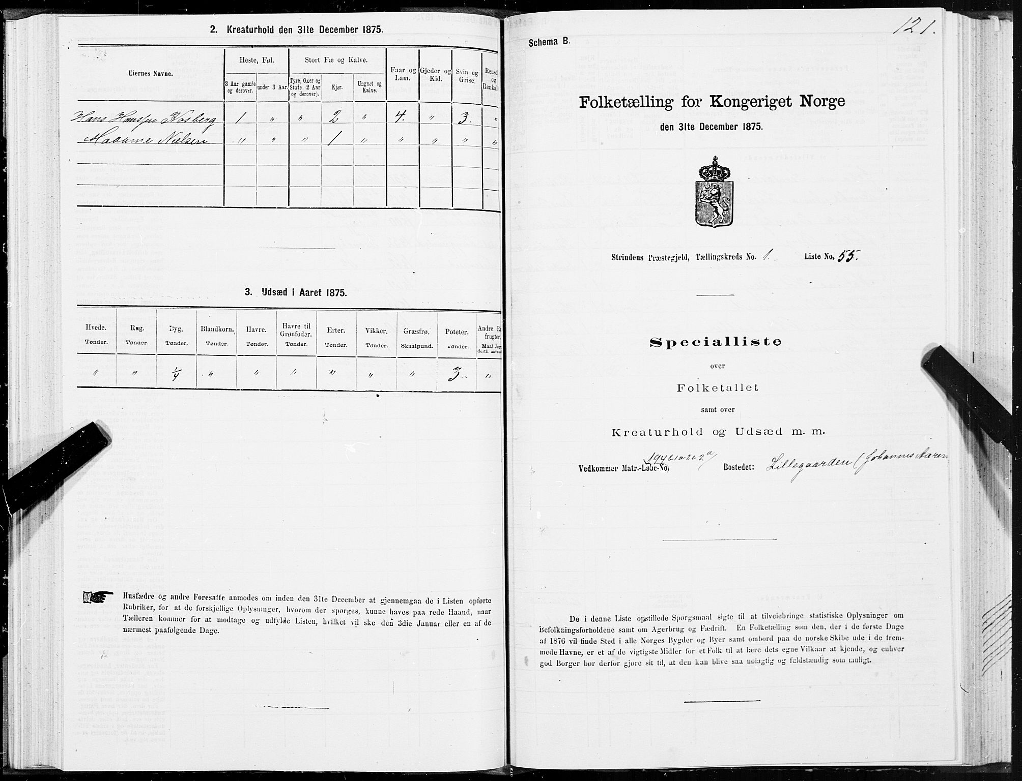 SAT, 1875 census for 1660P Strinda, 1875, p. 1121