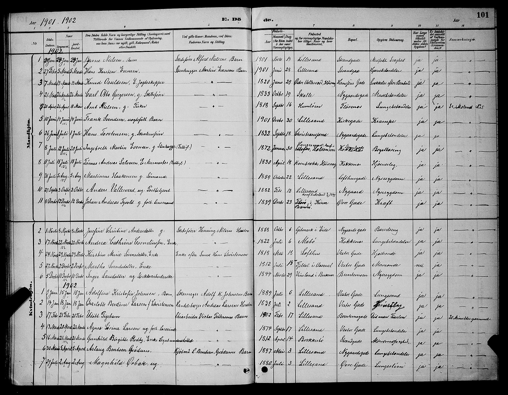 Vestre Moland sokneprestkontor, AV/SAK-1111-0046/F/Fb/Fba/L0001: Parish register (copy) no. B 1, 1884-1903, p. 101