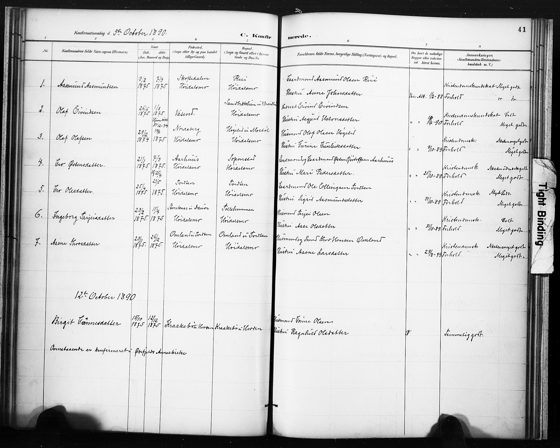 Lårdal kirkebøker, SAKO/A-284/F/Fc/L0002: Parish register (official) no. III 2, 1887-1906, p. 41
