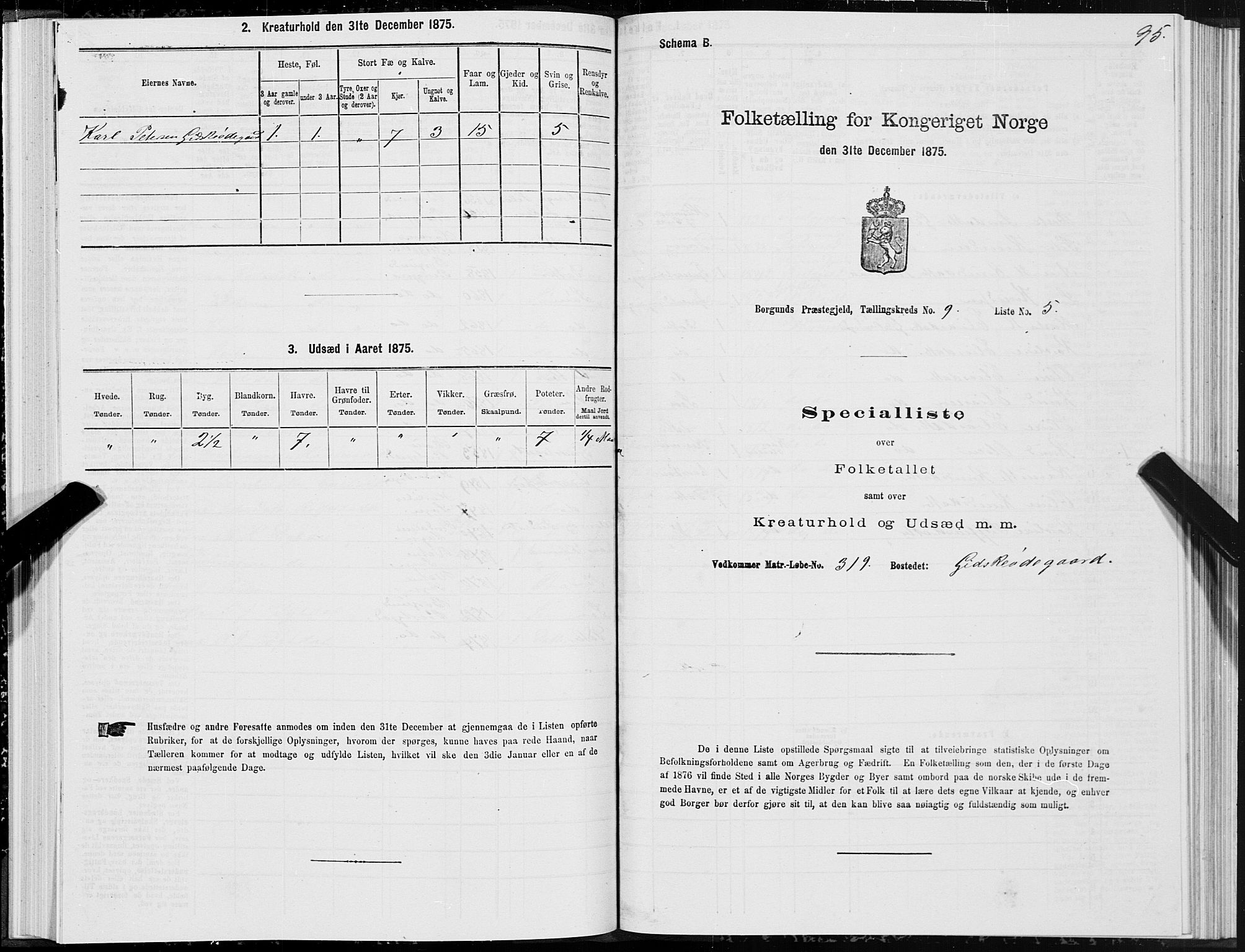 SAT, 1875 census for 1531P Borgund, 1875, p. 5095