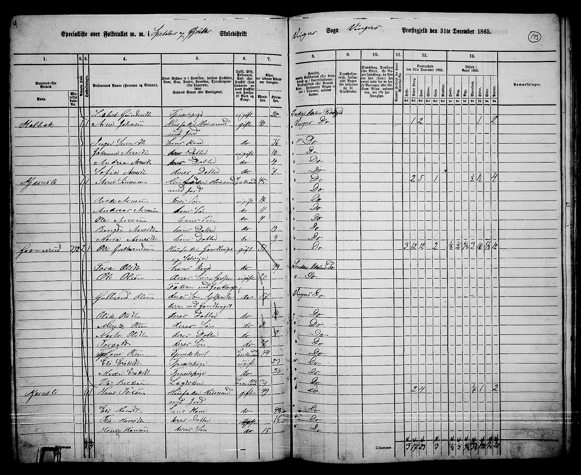 RA, 1865 census for Vinger/Vinger og Austmarka, 1865, p. 158