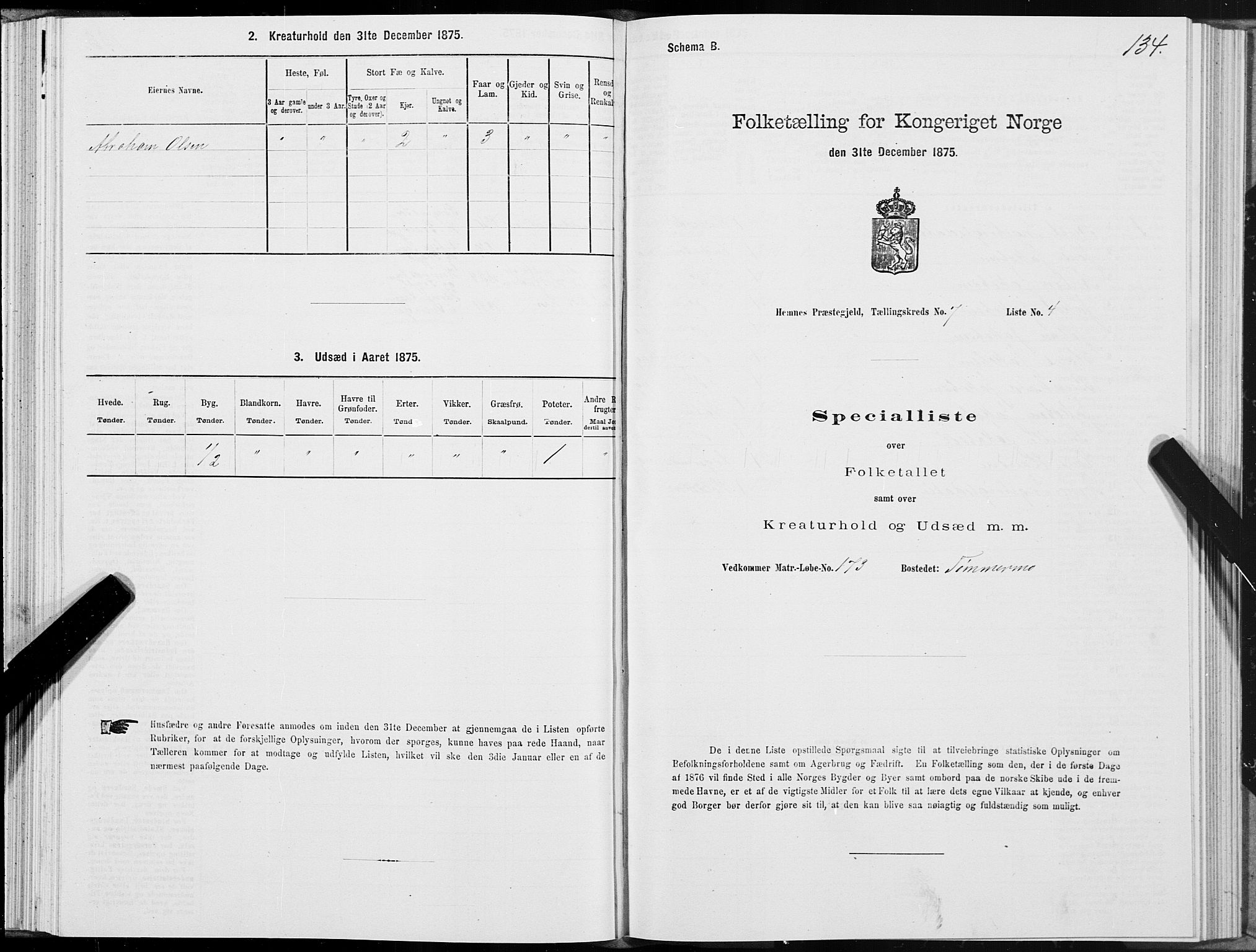 SAT, 1875 census for 1832P Hemnes, 1875, p. 4134