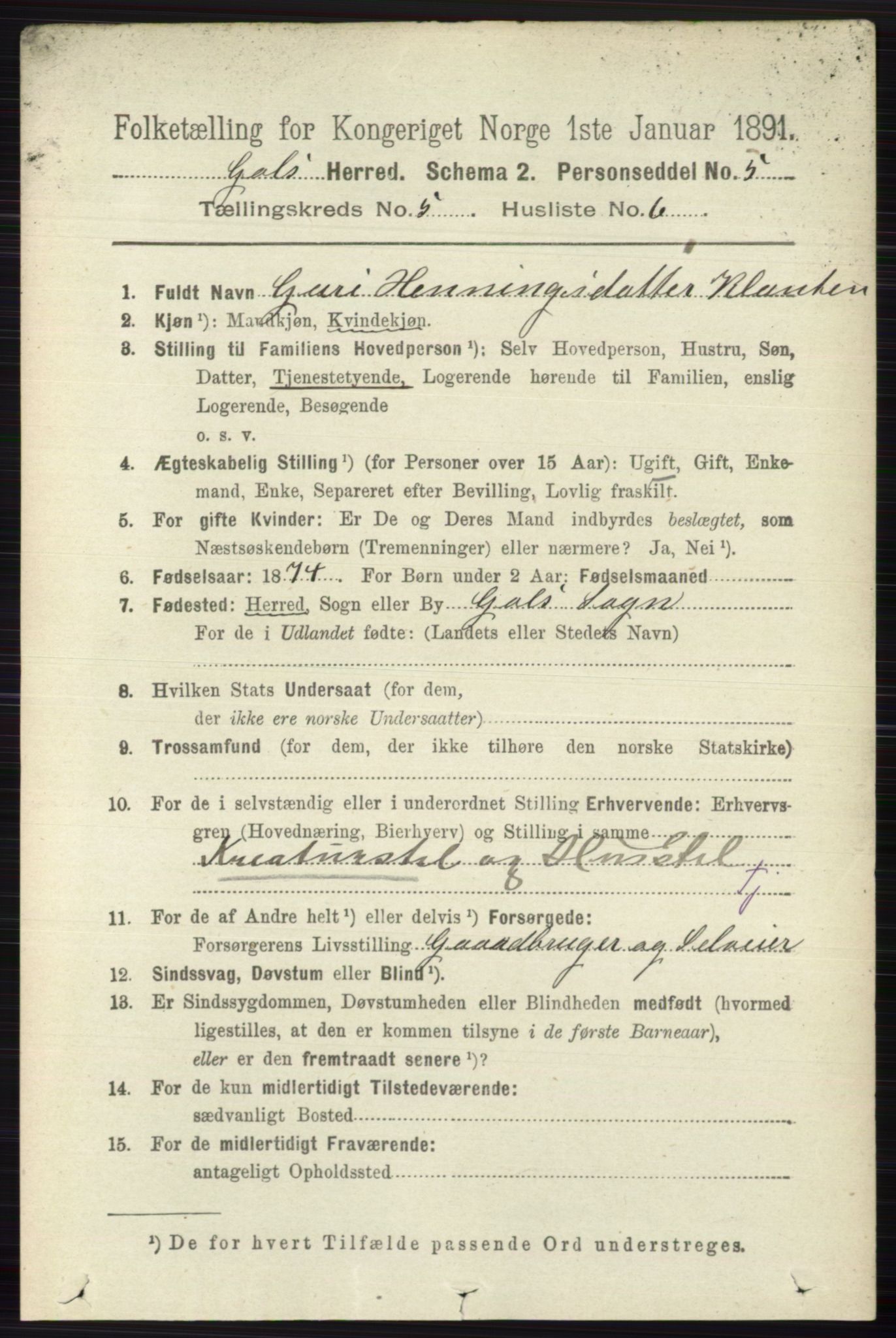 RA, 1891 census for 0617 Gol og Hemsedal, 1891, p. 2338