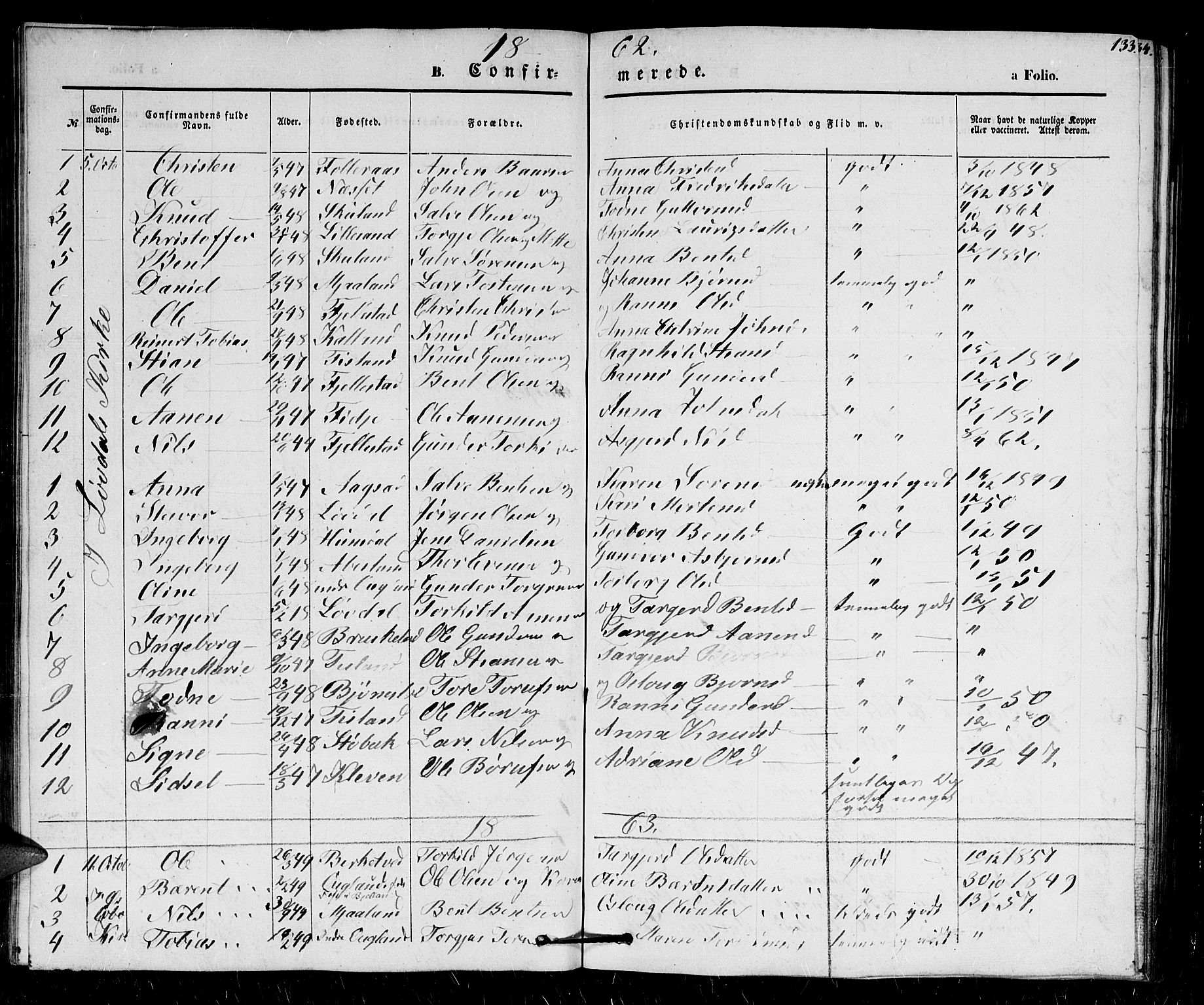 Holum sokneprestkontor, SAK/1111-0022/F/Fb/Fbb/L0002: Parish register (copy) no. B 2, 1847-1874, p. 133
