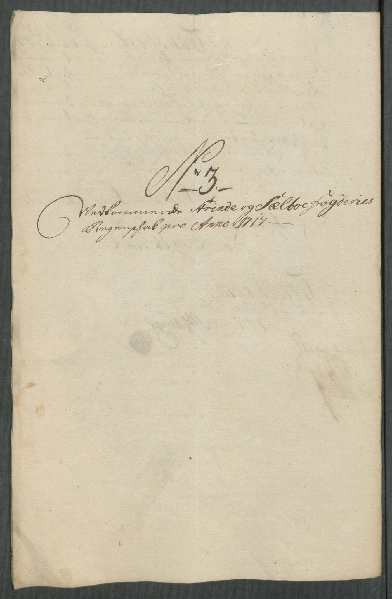 Rentekammeret inntil 1814, Reviderte regnskaper, Fogderegnskap, AV/RA-EA-4092/R61/L4116: Fogderegnskap Strinda og Selbu, 1717-1718, p. 72