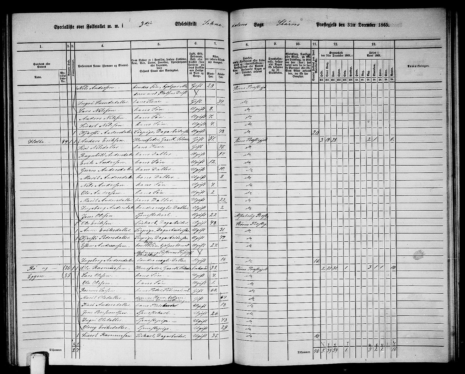 RA, 1865 census for Støren, 1865, p. 261