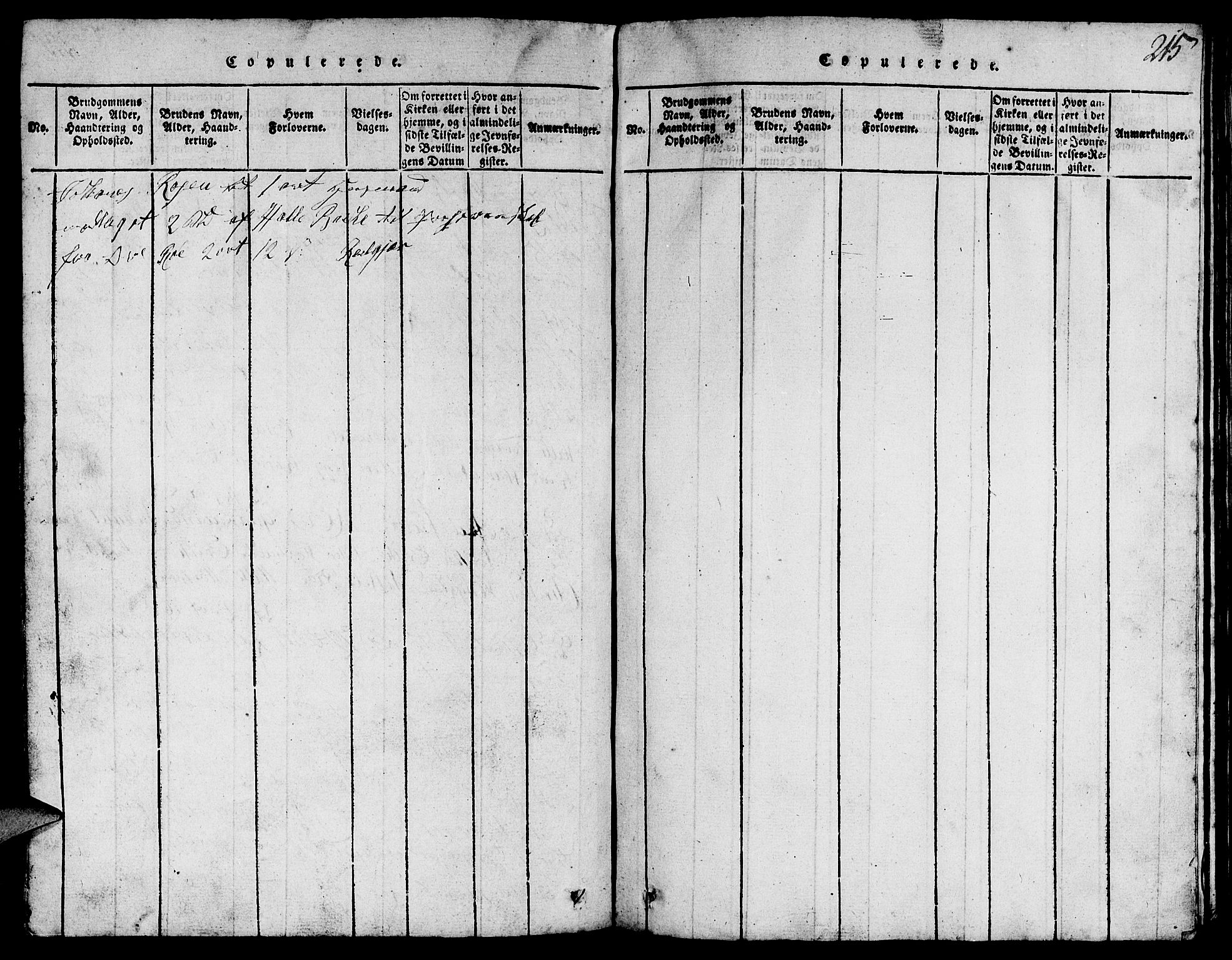 Suldal sokneprestkontor, SAST/A-101845/01/V/L0002: Parish register (copy) no. B 2, 1816-1845, p. 215