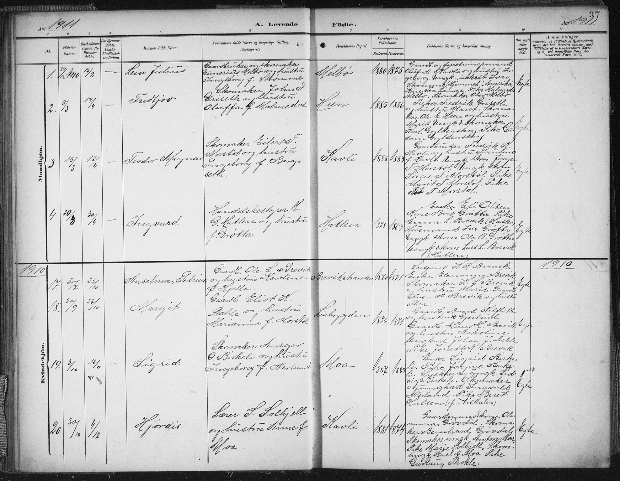 Ministerialprotokoller, klokkerbøker og fødselsregistre - Møre og Romsdal, SAT/A-1454/545/L0589: Parish register (copy) no. 545C03, 1902-1937, p. 37