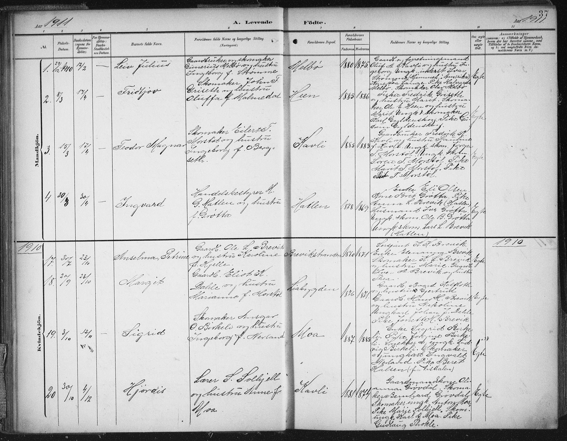 Ministerialprotokoller, klokkerbøker og fødselsregistre - Møre og Romsdal, AV/SAT-A-1454/545/L0589: Parish register (copy) no. 545C03, 1902-1937, p. 37