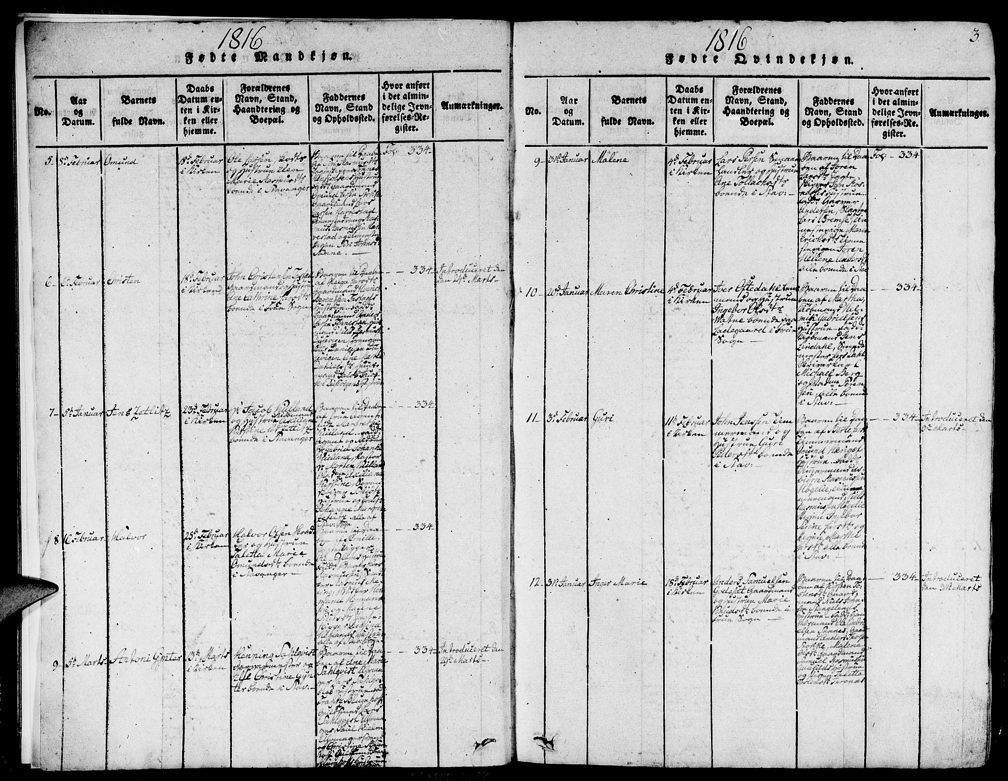 Domkirken sokneprestkontor, AV/SAST-A-101812/001/30/30BA/L0008: Parish register (official) no. A 8, 1816-1821, p. 3