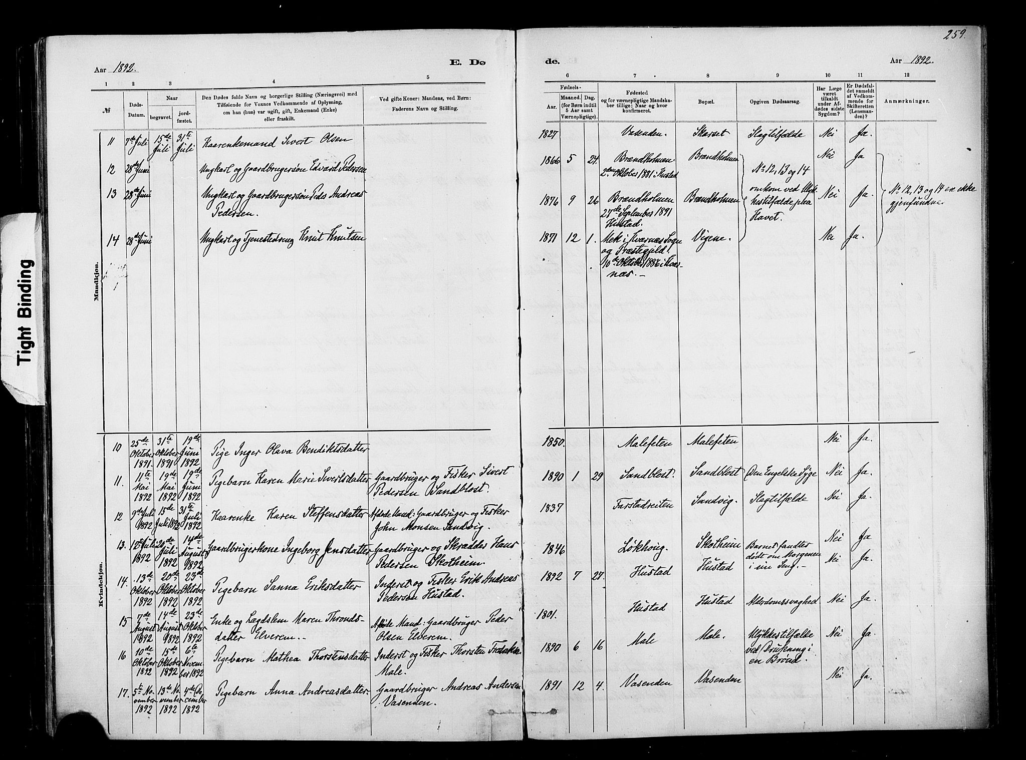 Ministerialprotokoller, klokkerbøker og fødselsregistre - Møre og Romsdal, AV/SAT-A-1454/567/L0778: Parish register (official) no. 567A01, 1881-1903, p. 259