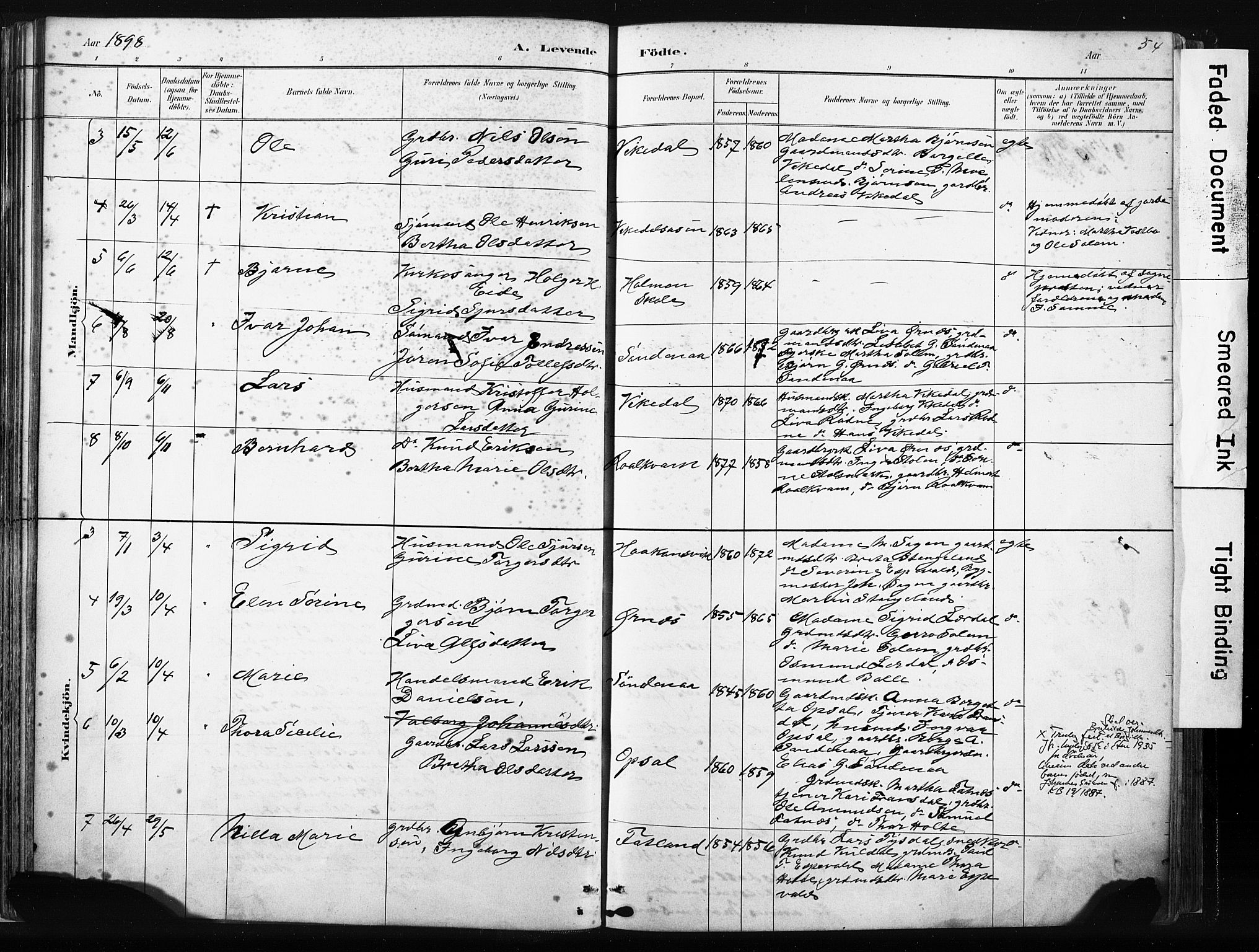 Vikedal sokneprestkontor, AV/SAST-A-101840/01/IV: Parish register (official) no. A 10, 1884-1907, p. 54