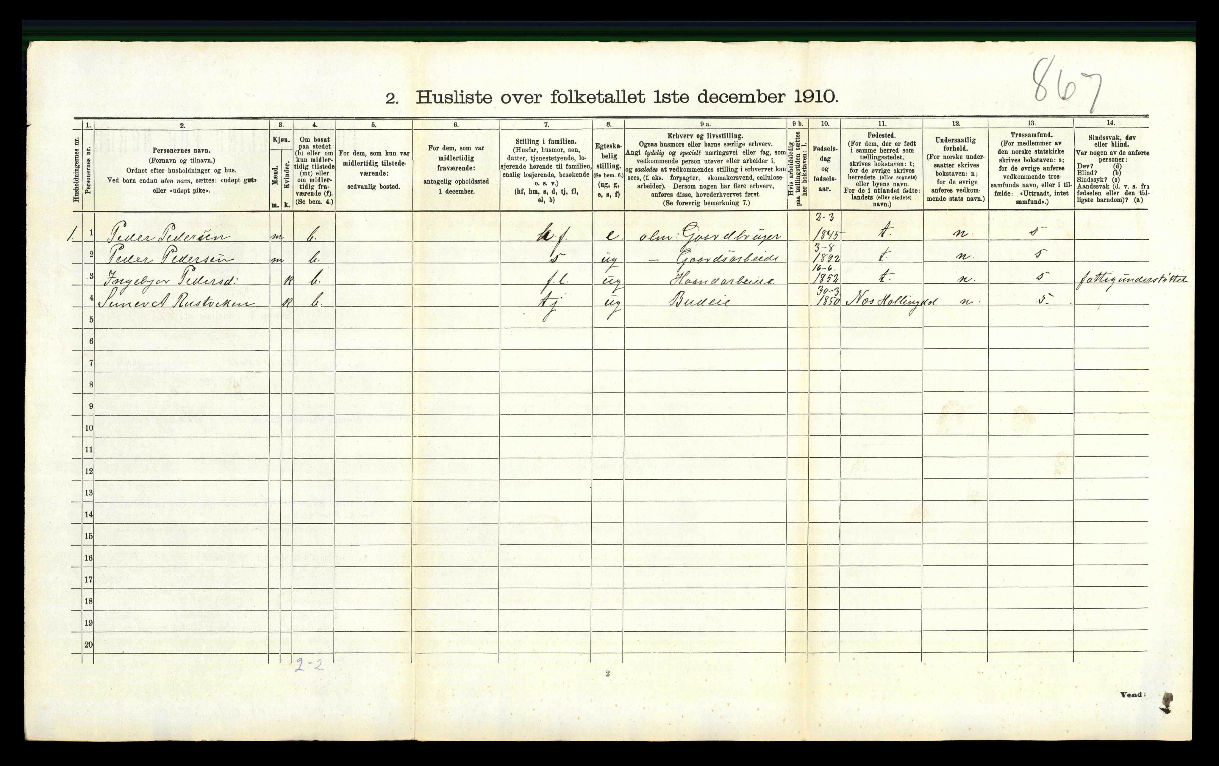 RA, 1910 census for Hemsedal, 1910, p. 345