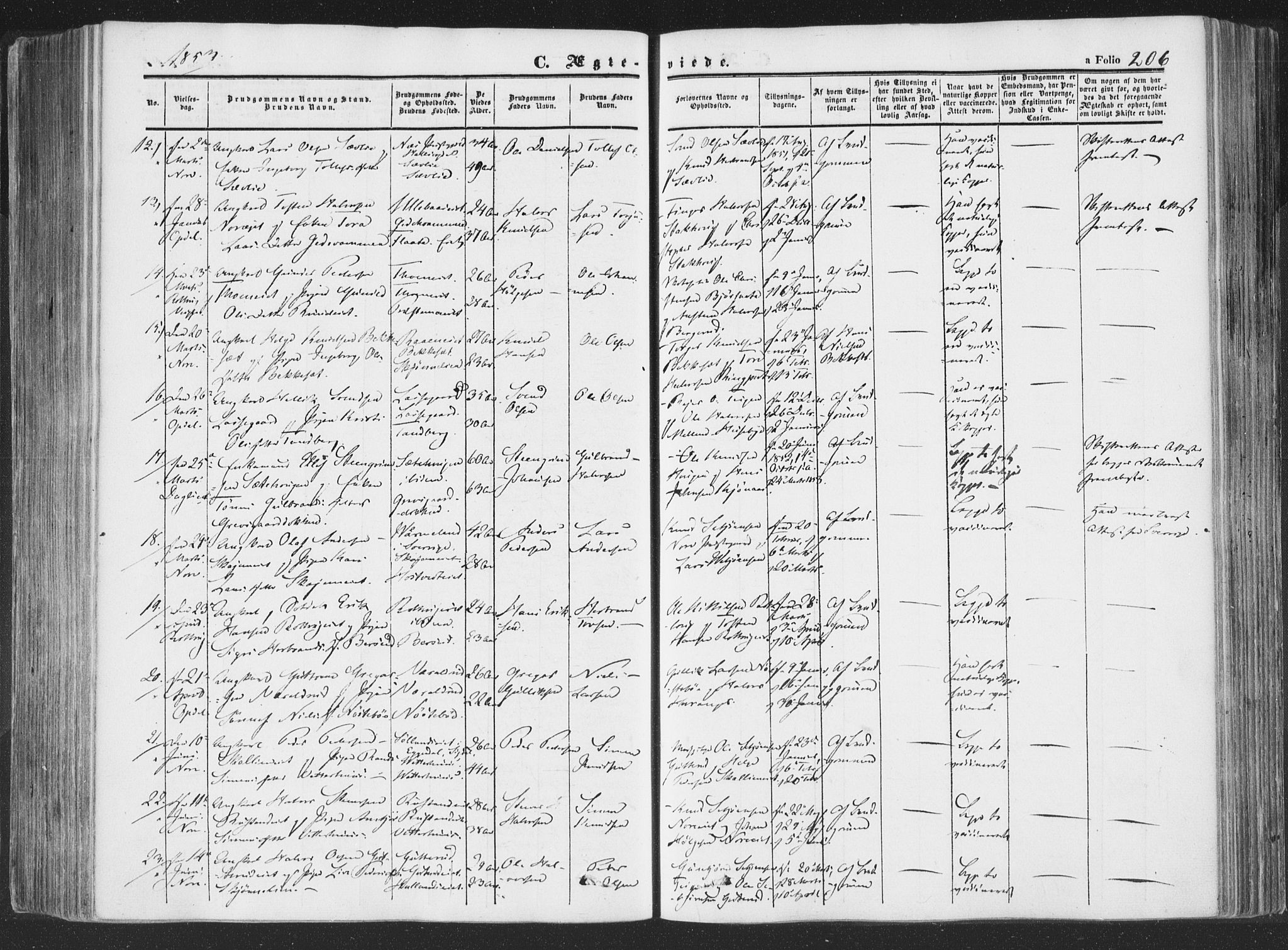 Rollag kirkebøker, AV/SAKO-A-240/F/Fa/L0008: Parish register (official) no. I 8, 1847-1860, p. 206