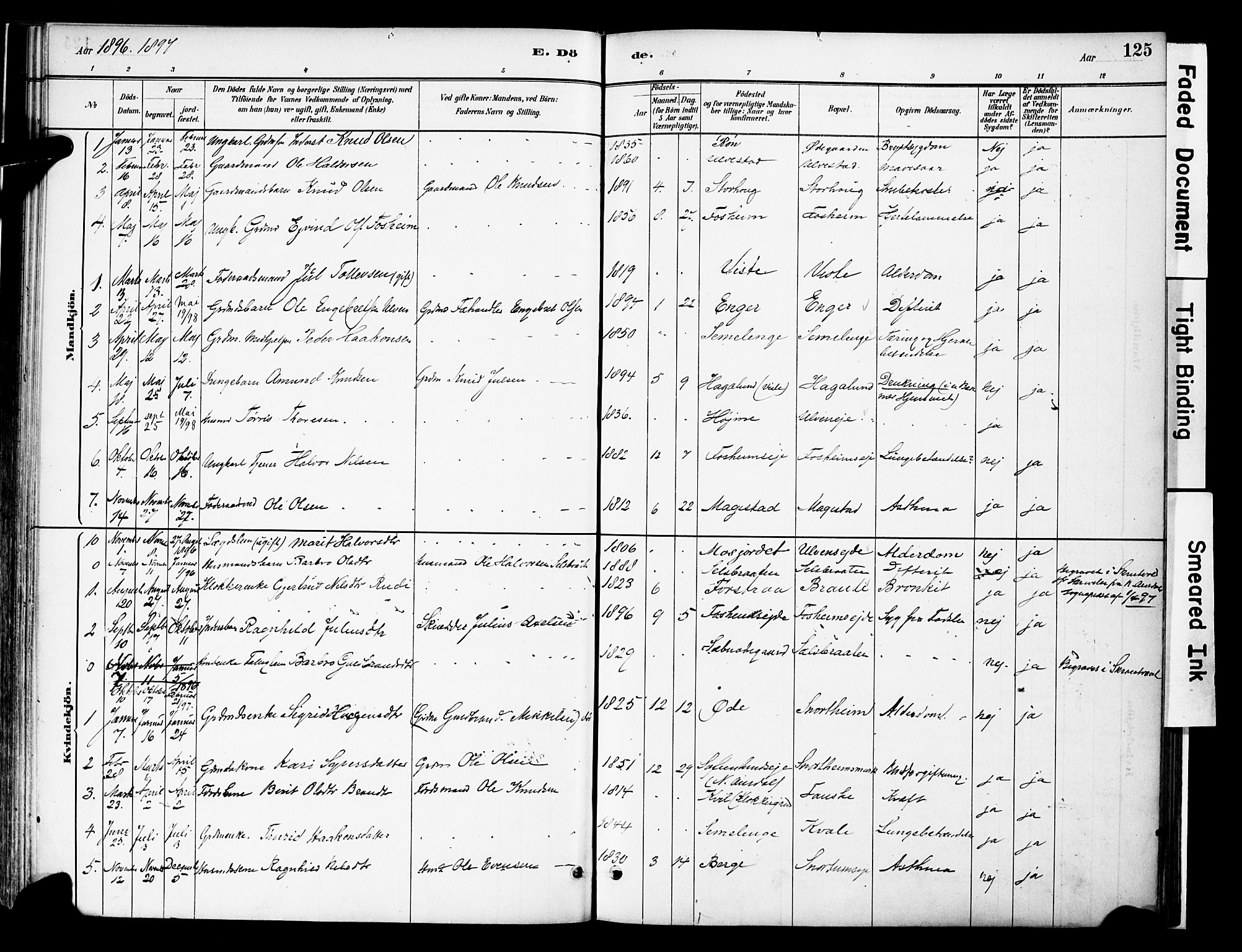 Vestre Slidre prestekontor, SAH/PREST-136/H/Ha/Haa/L0006: Parish register (official) no. 6, 1881-1912, p. 125