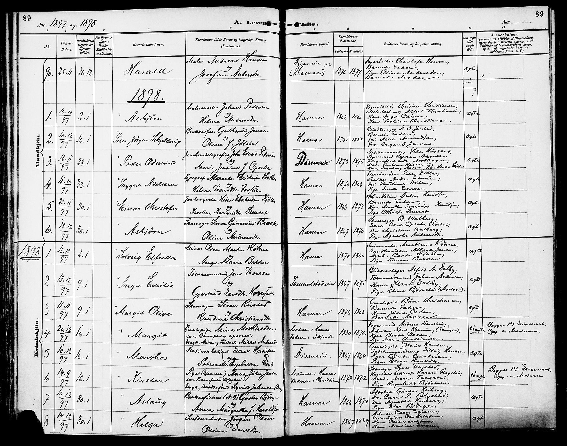 Vang prestekontor, Hedmark, SAH/PREST-008/H/Ha/Haa/L0017: Parish register (official) no. 17, 1890-1899, p. 89