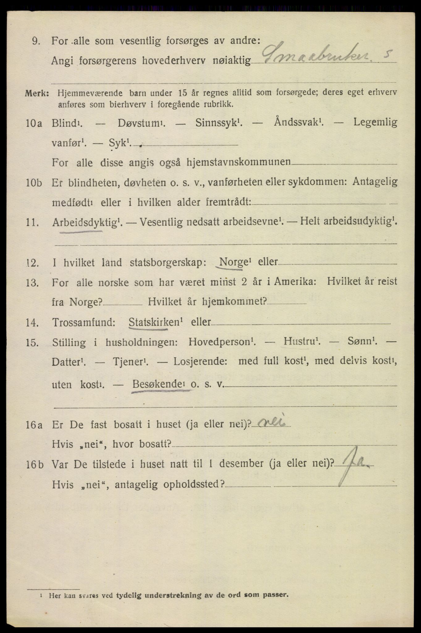 SAH, 1920 census for Hof, 1920, p. 2496