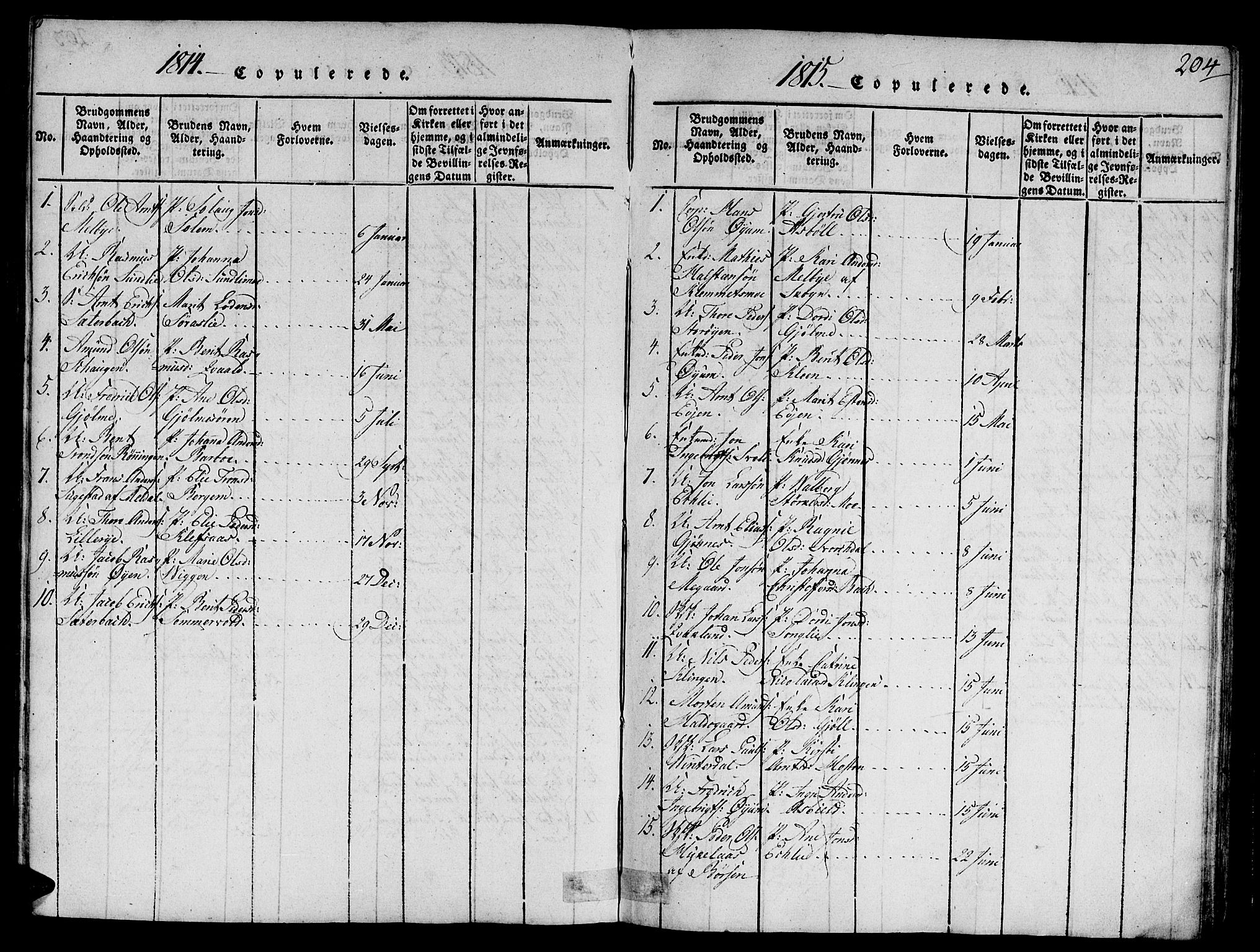 Ministerialprotokoller, klokkerbøker og fødselsregistre - Sør-Trøndelag, SAT/A-1456/668/L0803: Parish register (official) no. 668A03, 1800-1826, p. 204