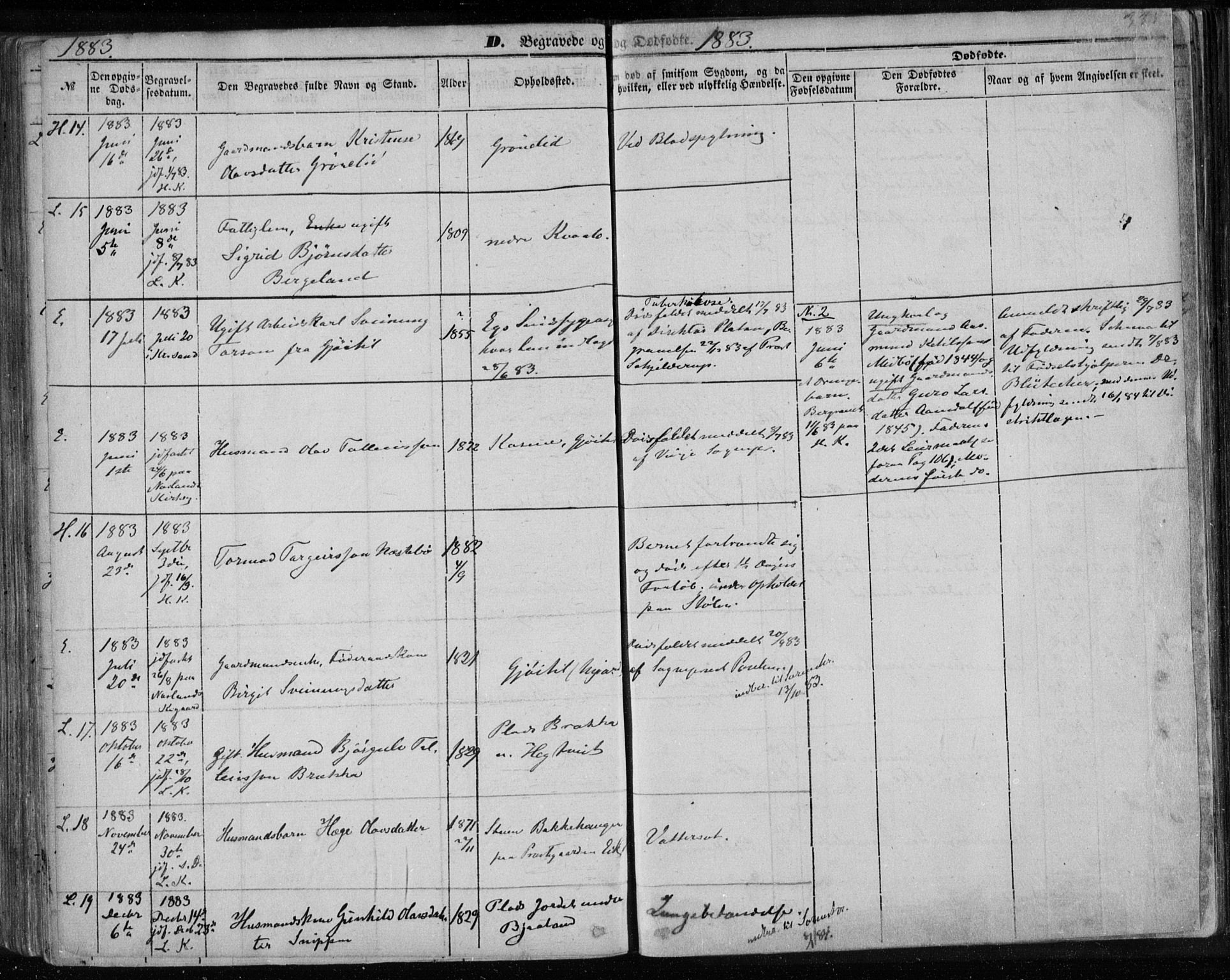 Lårdal kirkebøker, SAKO/A-284/F/Fa/L0006: Parish register (official) no. I 6, 1861-1886, p. 335