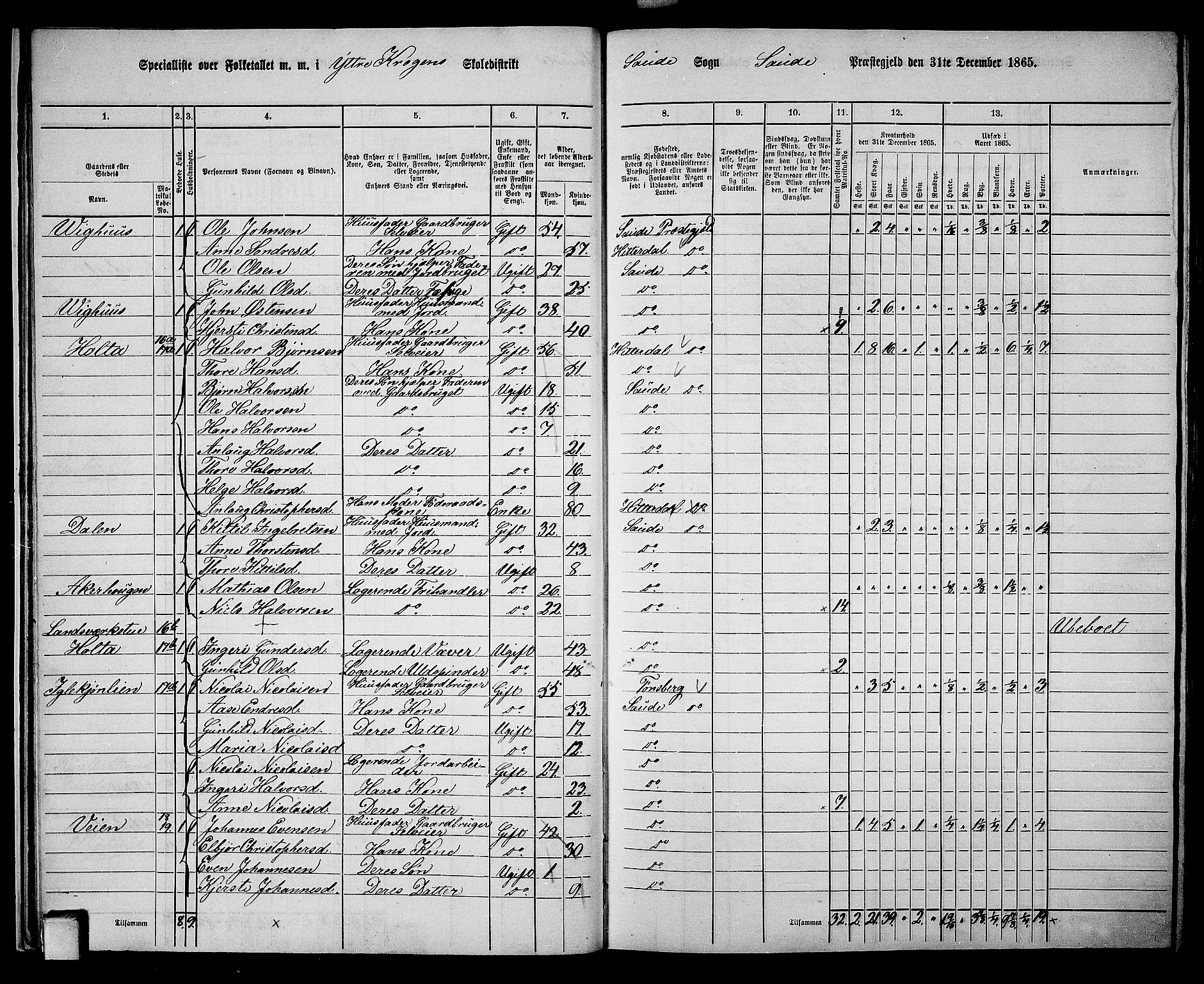 RA, 1865 census for Sauherad, 1865, p. 19