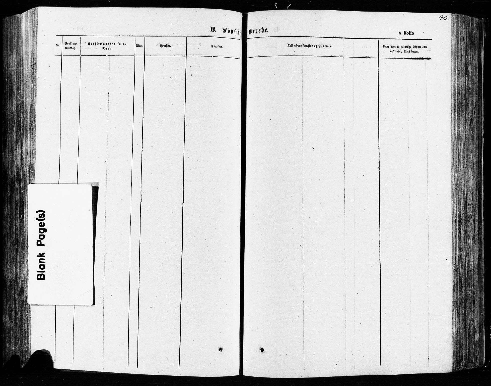 Vågå prestekontor, SAH/PREST-076/H/Ha/Haa/L0007: Parish register (official) no. 7 /1, 1872-1886, p. 312