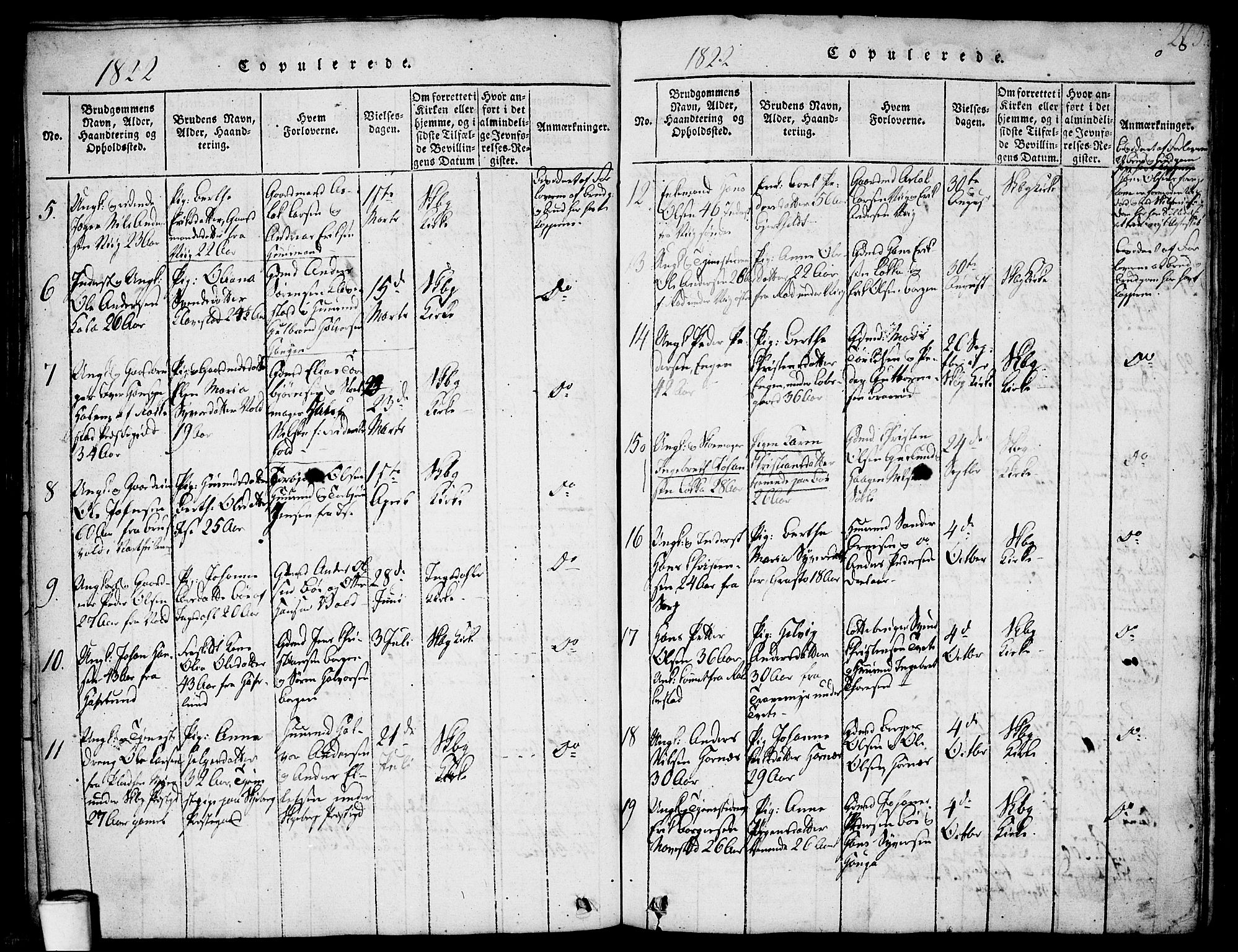 Skjeberg prestekontor Kirkebøker, SAO/A-10923/F/Fa/L0004: Parish register (official) no. I 4, 1815-1830, p. 205