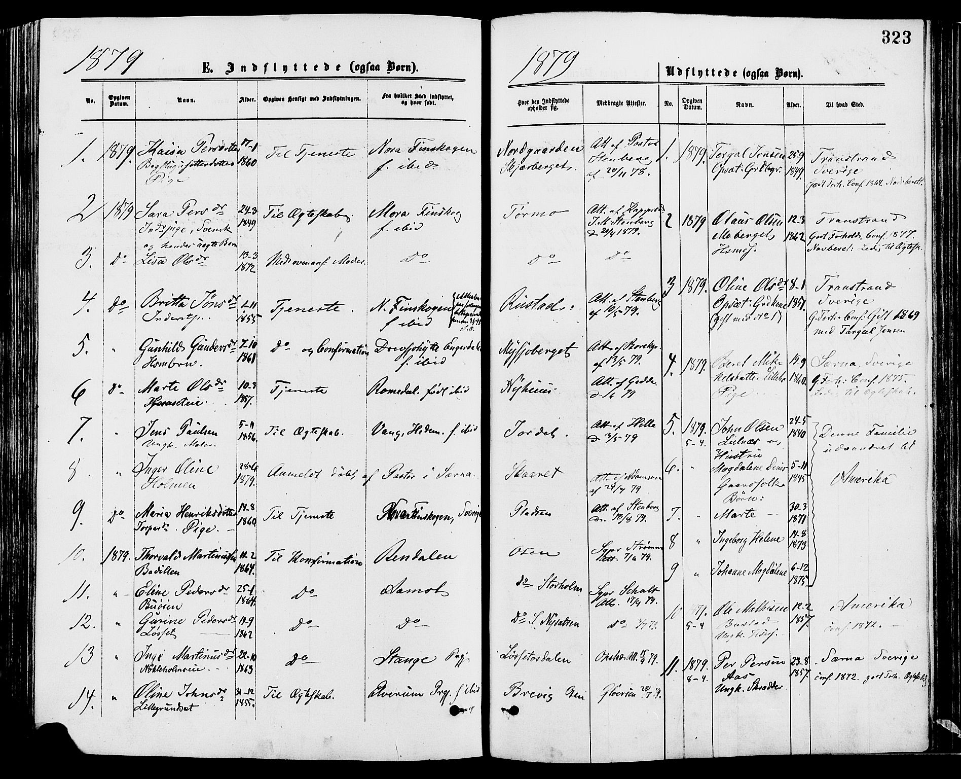 Trysil prestekontor, SAH/PREST-046/H/Ha/Haa/L0007: Parish register (official) no. 7, 1874-1880, p. 323