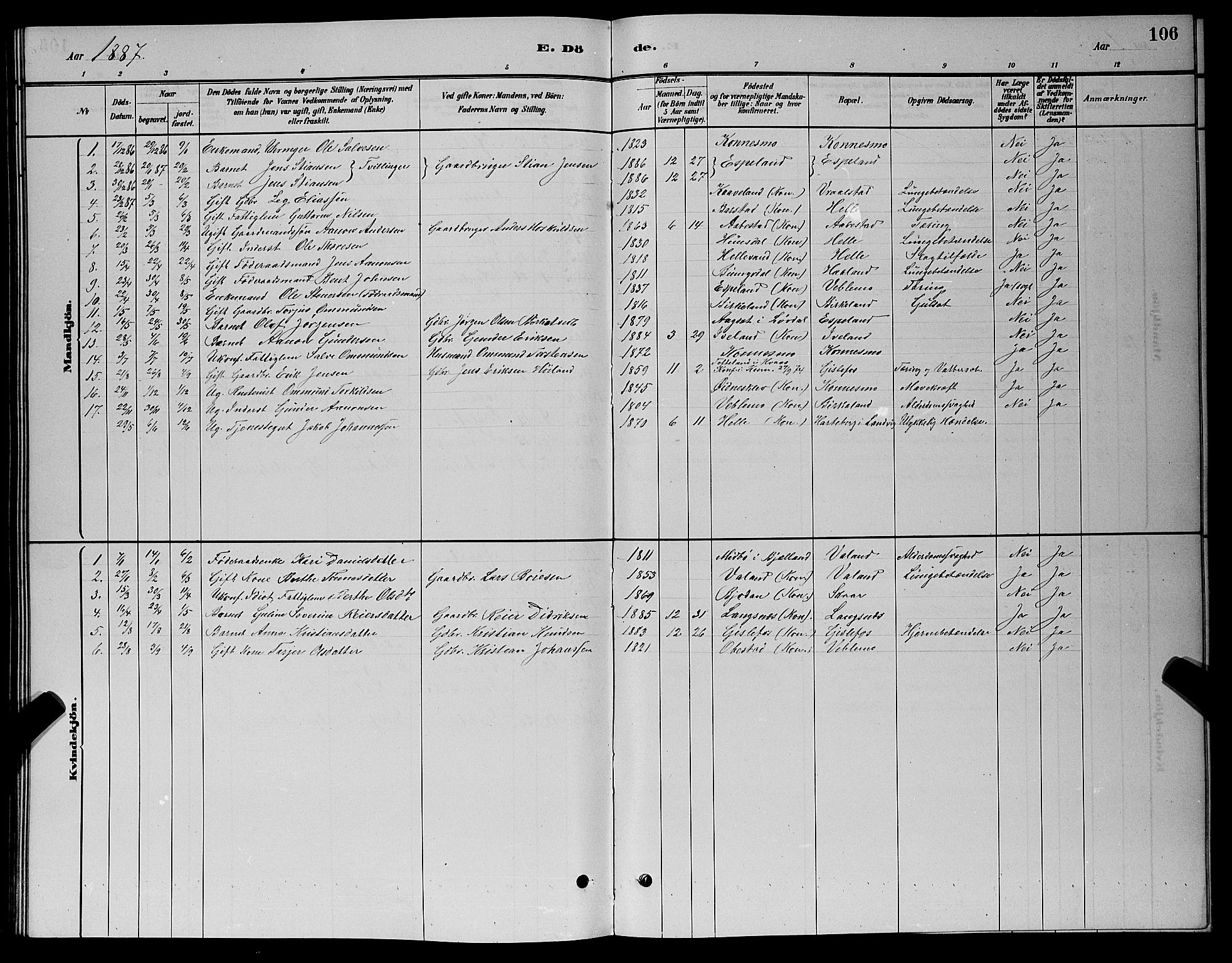Nord-Audnedal sokneprestkontor, SAK/1111-0032/F/Fb/Fba/L0003: Parish register (copy) no. B 3, 1881-1900, p. 106