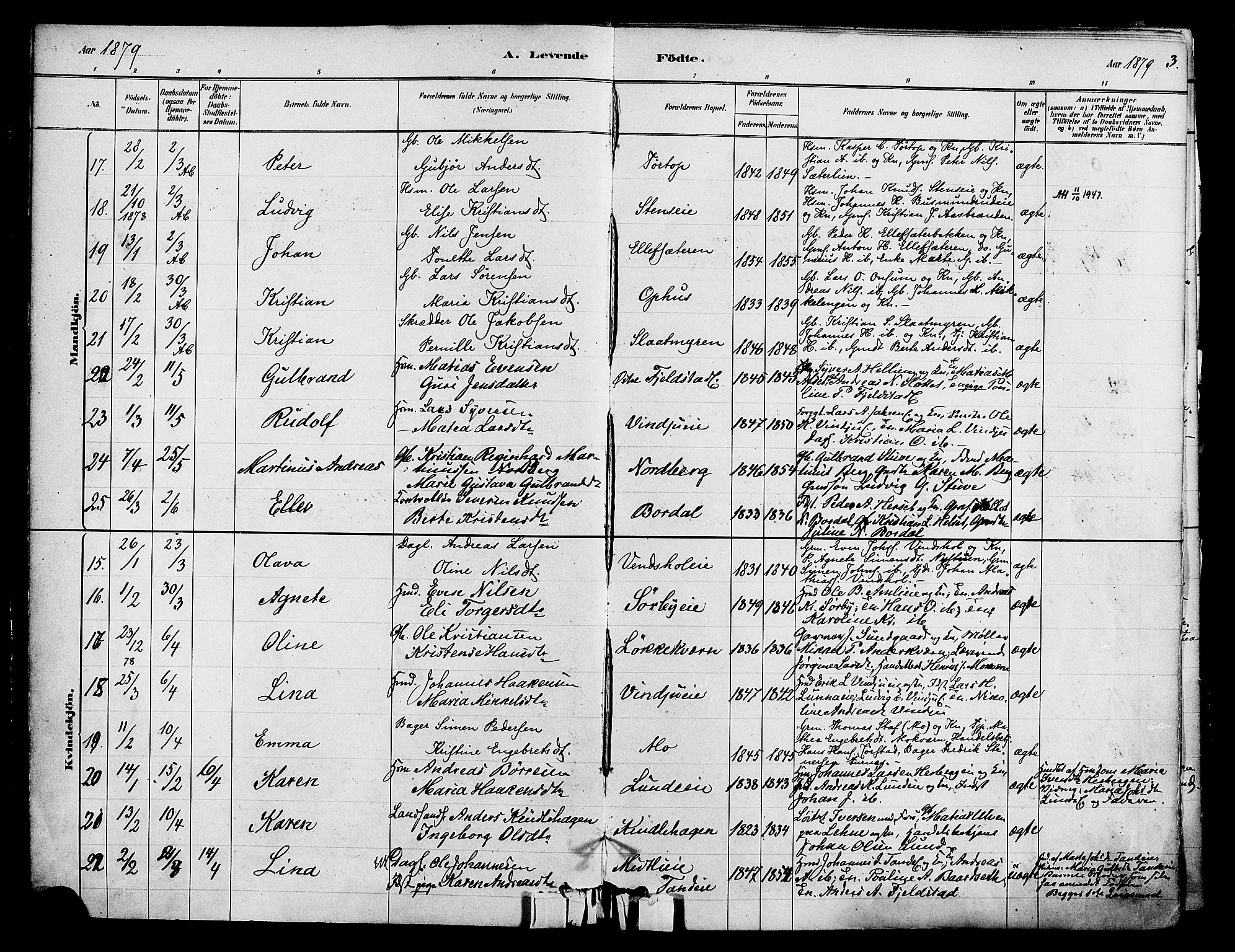 Ringsaker prestekontor, AV/SAH-PREST-014/K/Ka/L0012: Parish register (official) no. 12, 1879-1890, p. 3