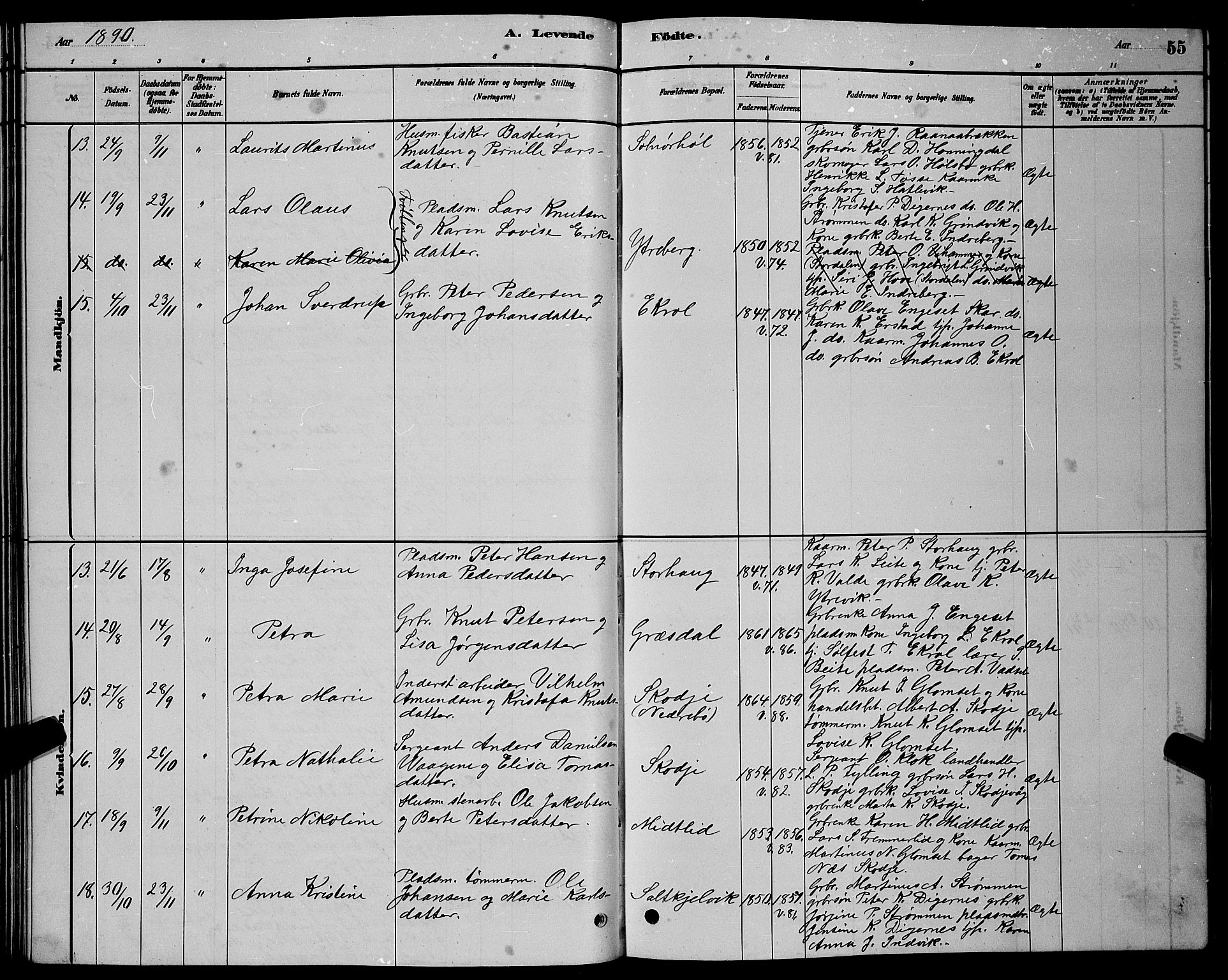 Ministerialprotokoller, klokkerbøker og fødselsregistre - Møre og Romsdal, AV/SAT-A-1454/524/L0365: Parish register (copy) no. 524C06, 1880-1899, p. 55