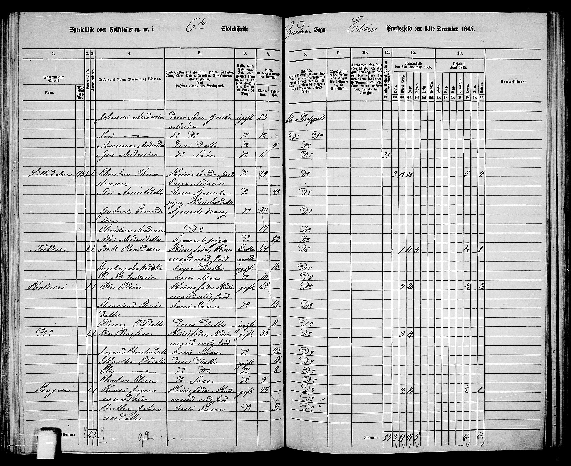 RA, 1865 census for Etne, 1865, p. 98