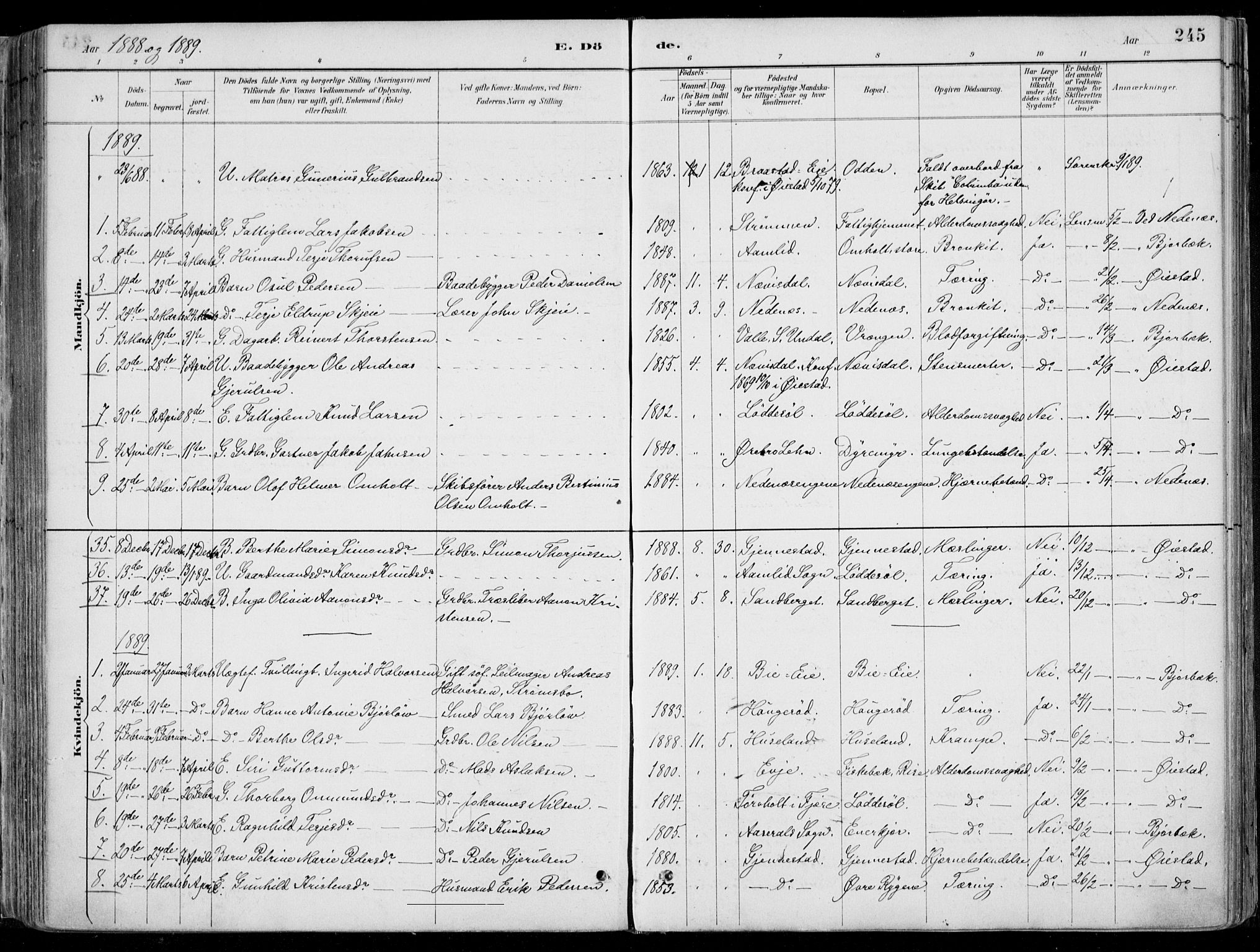 Øyestad sokneprestkontor, SAK/1111-0049/F/Fa/L0017: Parish register (official) no. A 17, 1887-1896, p. 245