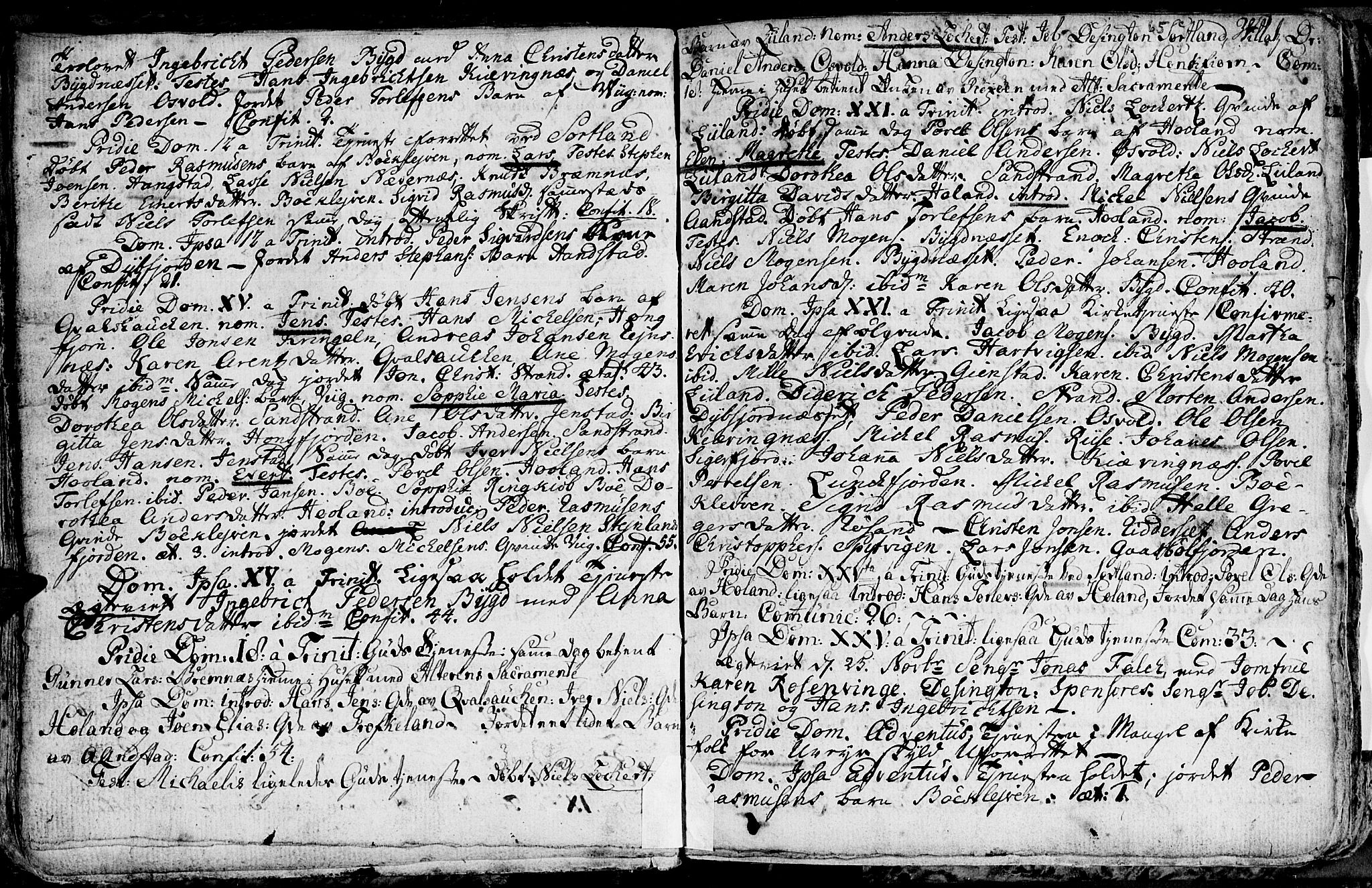 Ministerialprotokoller, klokkerbøker og fødselsregistre - Nordland, SAT/A-1459/895/L1366: Parish register (official) no. 895A01, 1730-1794, p. 65