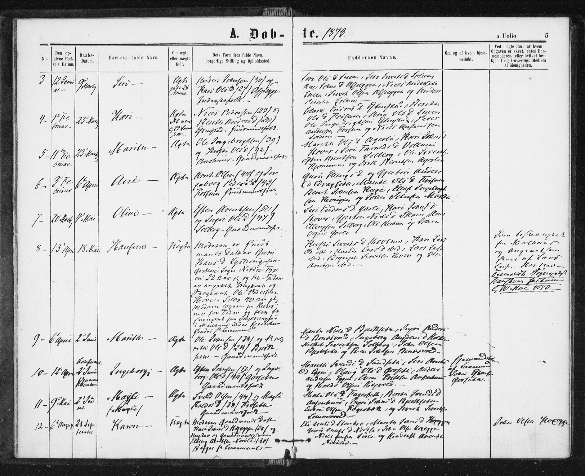 Ministerialprotokoller, klokkerbøker og fødselsregistre - Sør-Trøndelag, SAT/A-1456/689/L1039: Parish register (official) no. 689A04, 1865-1878, p. 5