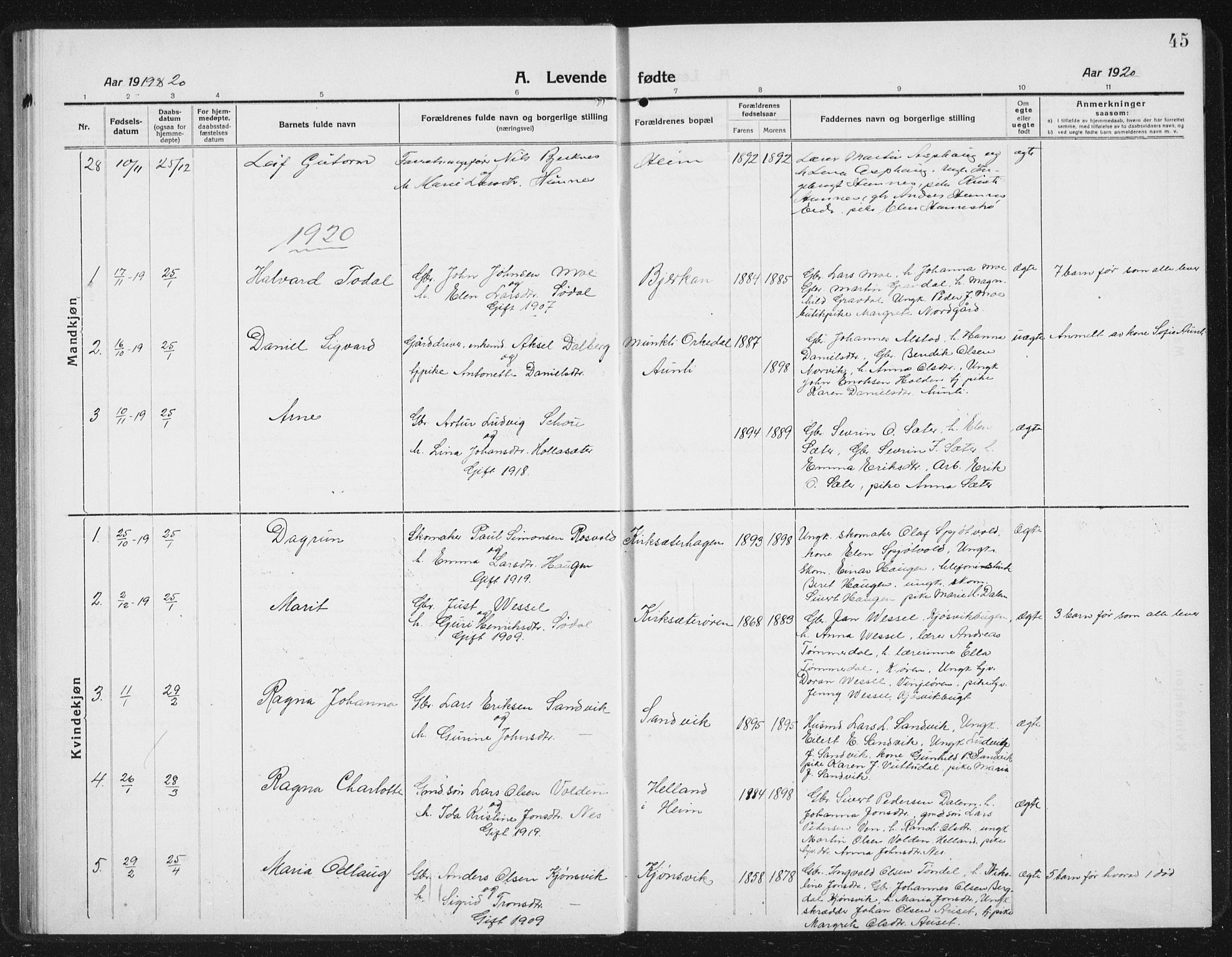 Ministerialprotokoller, klokkerbøker og fødselsregistre - Sør-Trøndelag, SAT/A-1456/630/L0506: Parish register (copy) no. 630C04, 1914-1933, p. 45