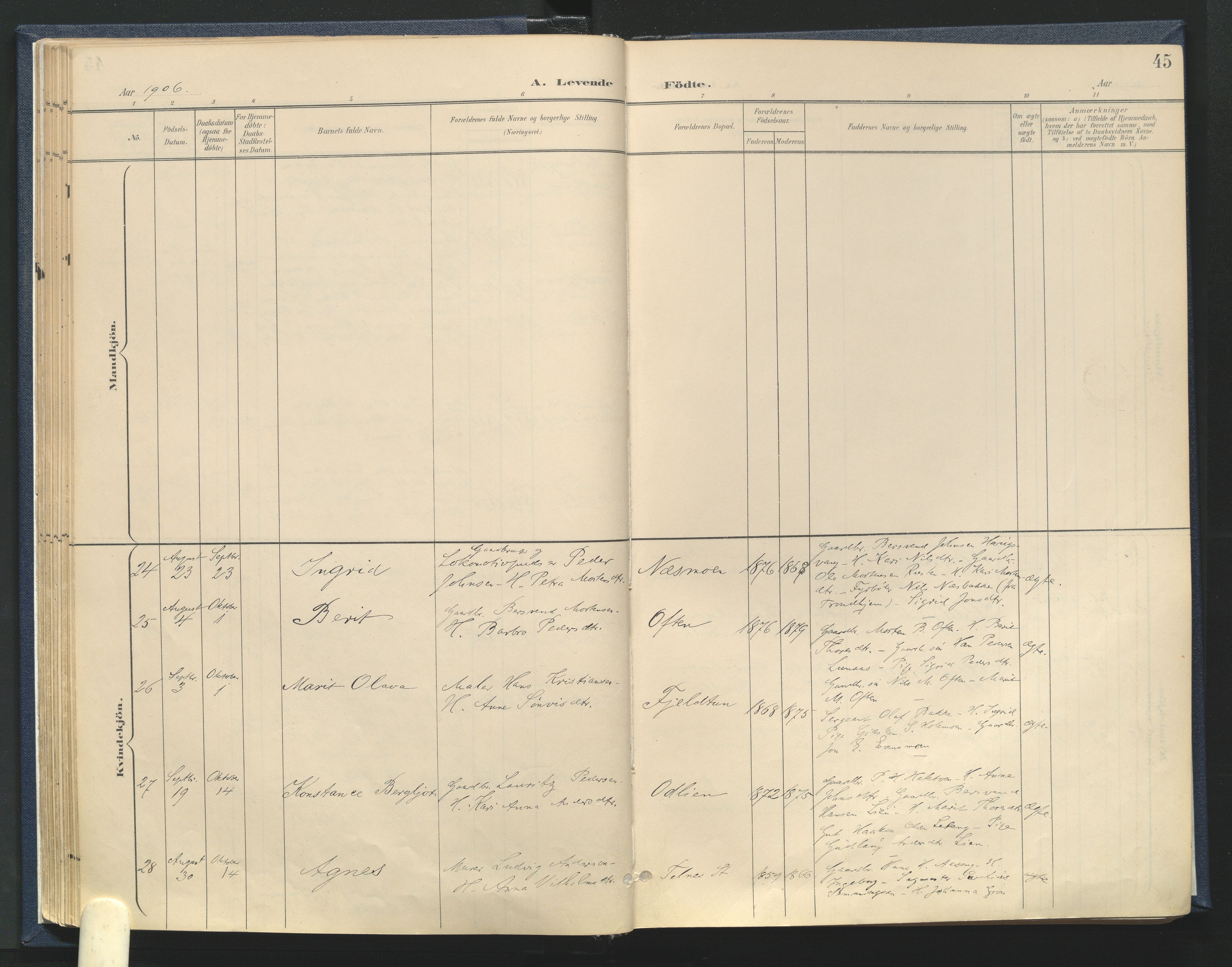 Tynset prestekontor, AV/SAH-PREST-058/H/Ha/Haa/L0025: Parish register (official) no. 25, 1900-1914, p. 45