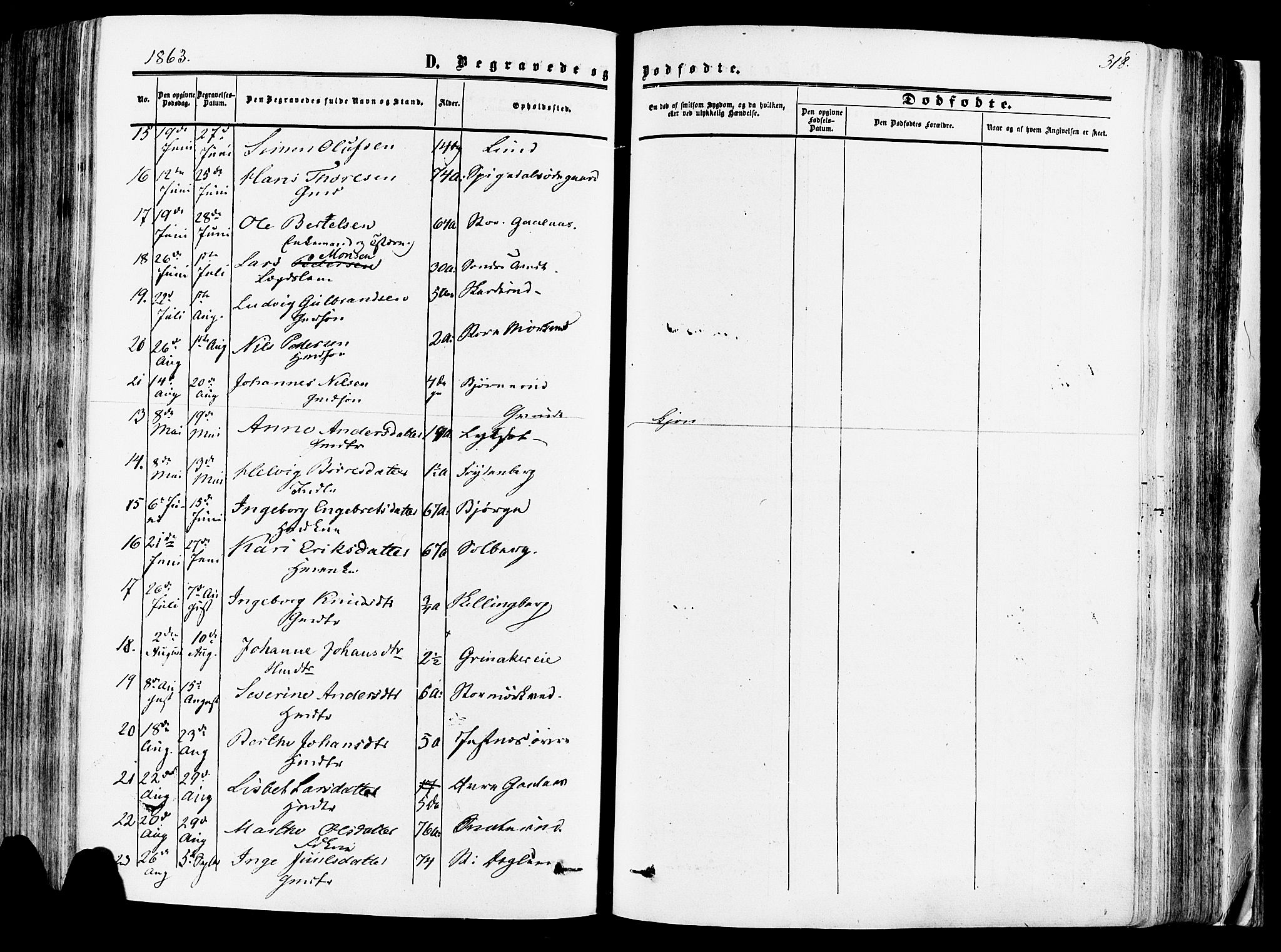 Vang prestekontor, Hedmark, AV/SAH-PREST-008/H/Ha/Haa/L0013: Parish register (official) no. 13, 1855-1879, p. 318