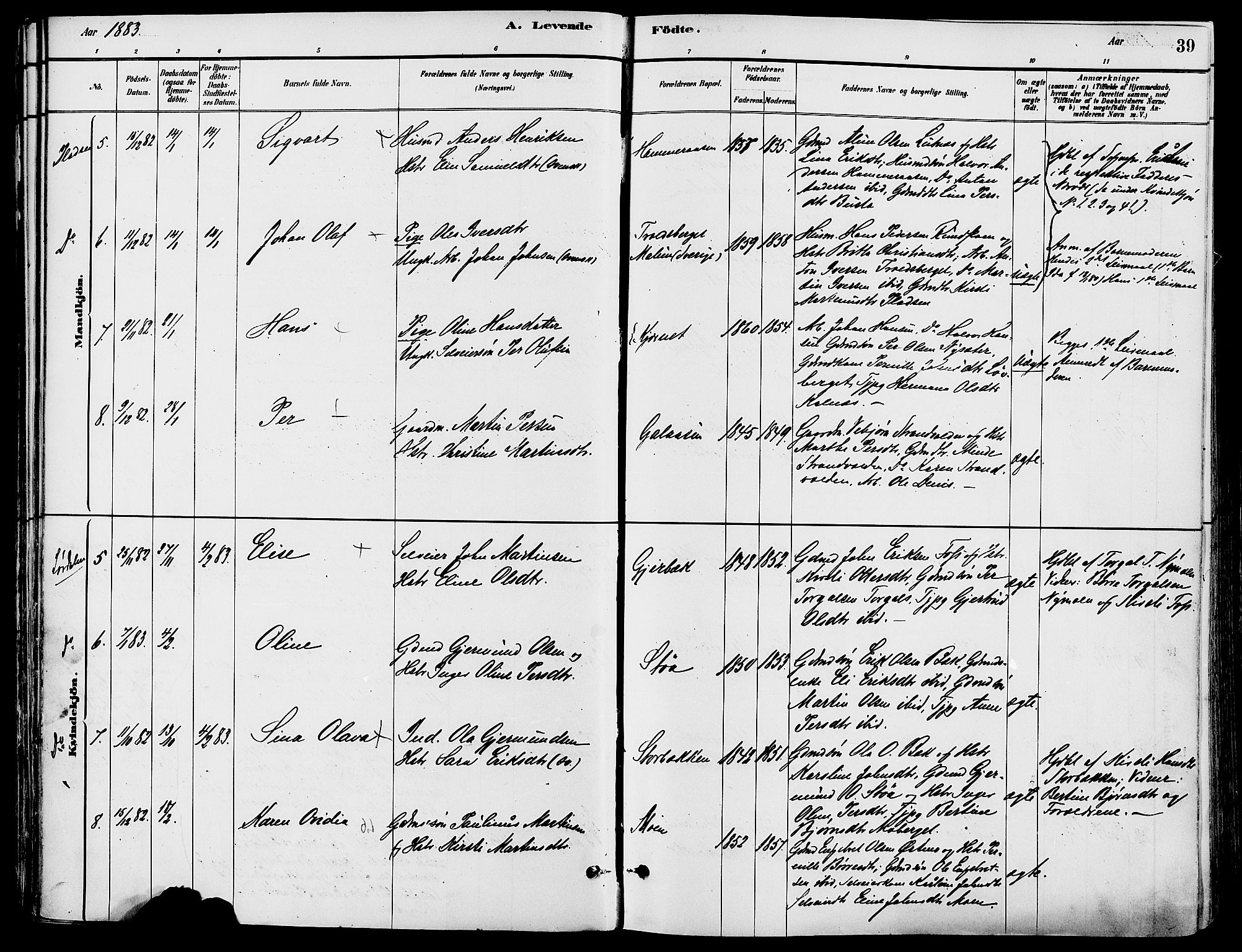 Trysil prestekontor, AV/SAH-PREST-046/H/Ha/Haa/L0008: Parish register (official) no. 8, 1881-1897, p. 39