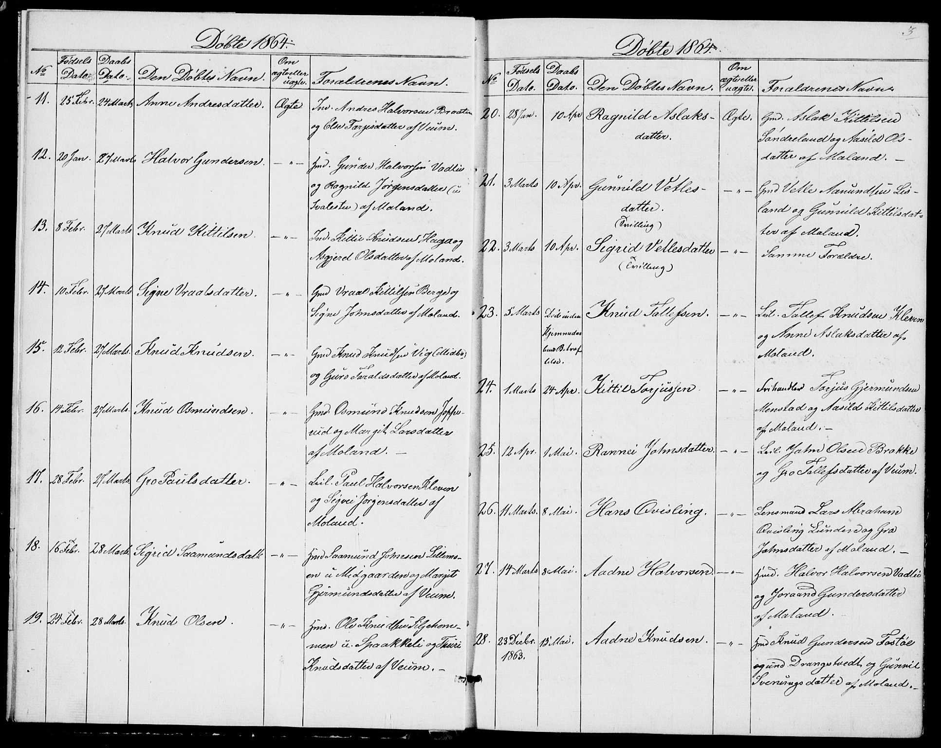 Fyresdal kirkebøker, SAKO/A-263/G/Ga/L0004: Parish register (copy) no. I 4, 1864-1892, p. 3