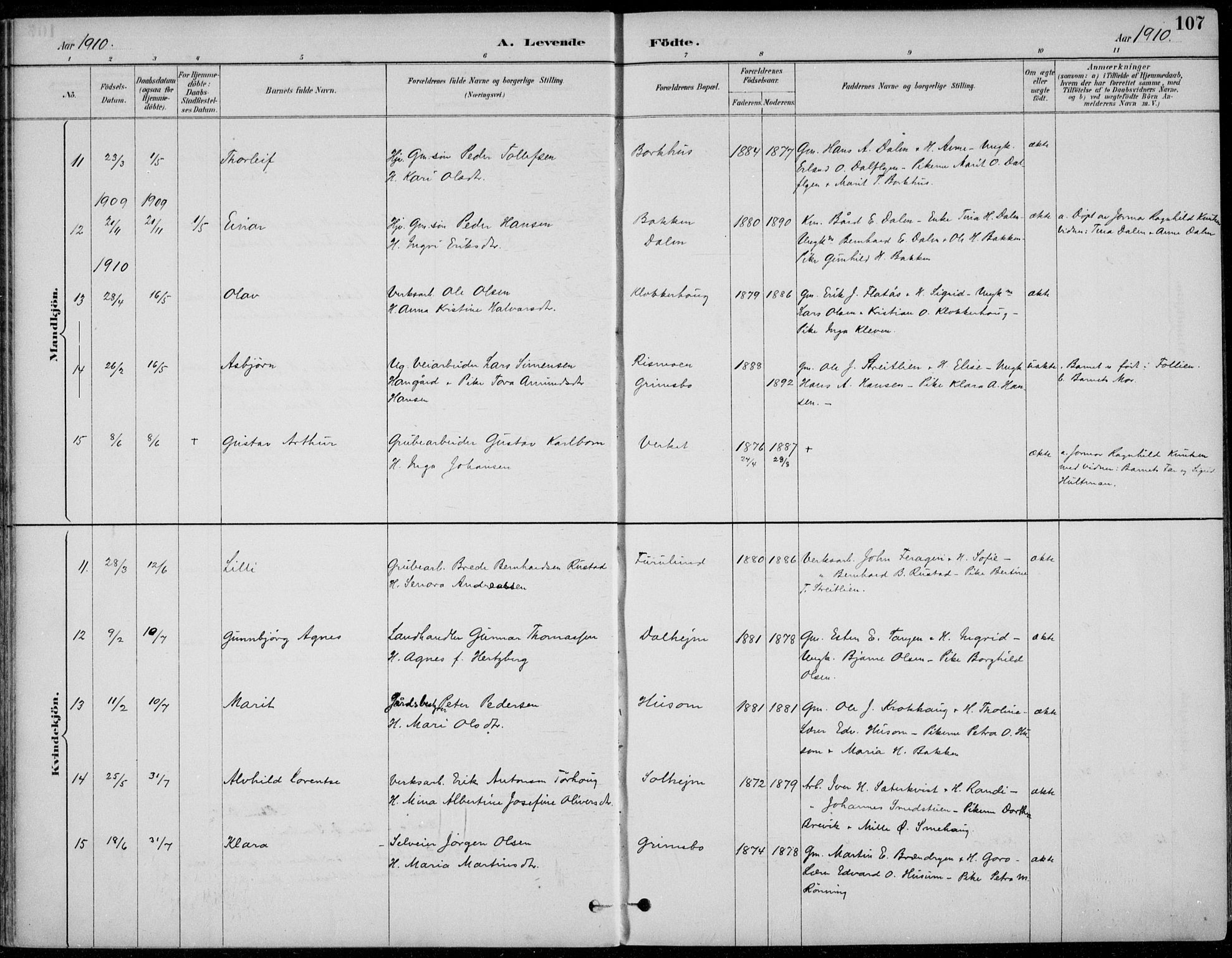 Alvdal prestekontor, AV/SAH-PREST-060/H/Ha/Haa/L0003: Parish register (official) no. 3, 1886-1912, p. 107