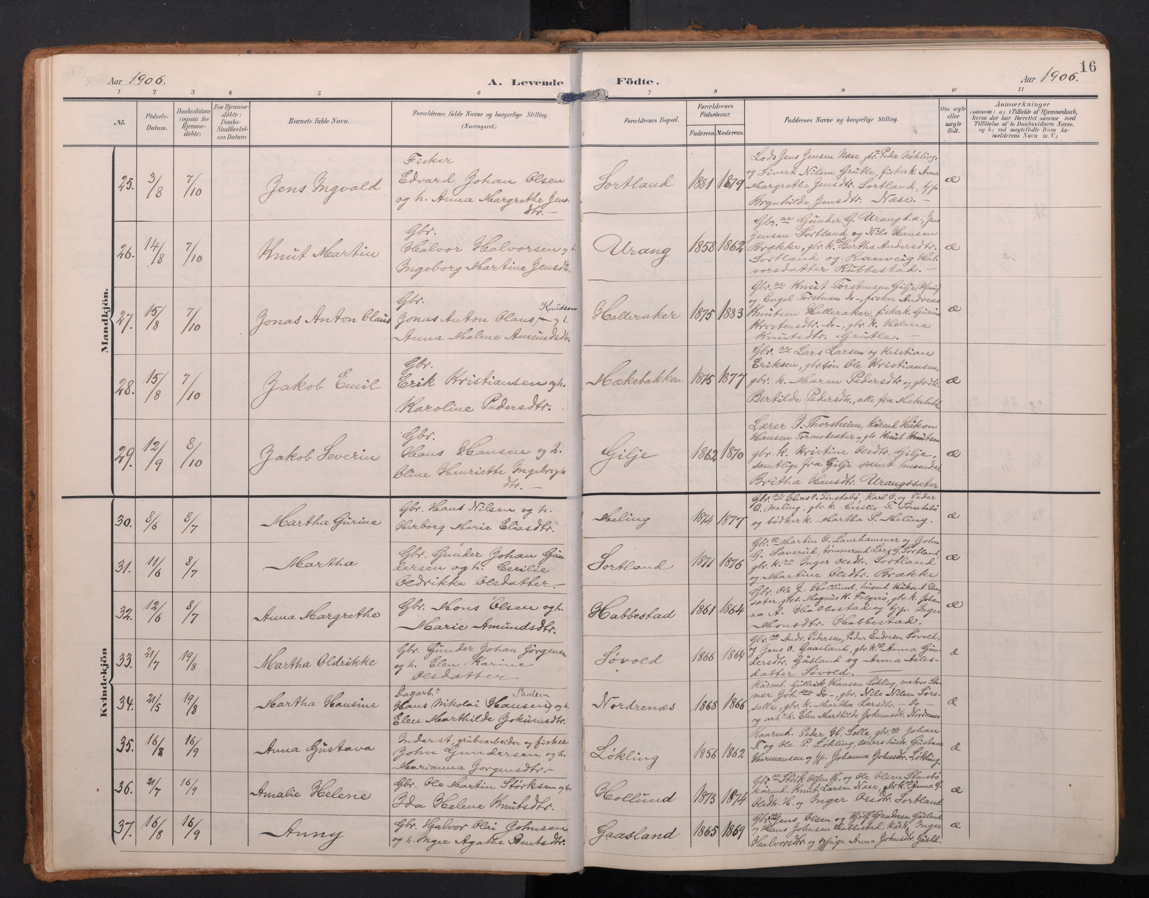 Finnås sokneprestembete, AV/SAB-A-99925/H/Ha/Haa/Haac/L0003: Parish register (official) no. C 3, 1905-1917, p. 16
