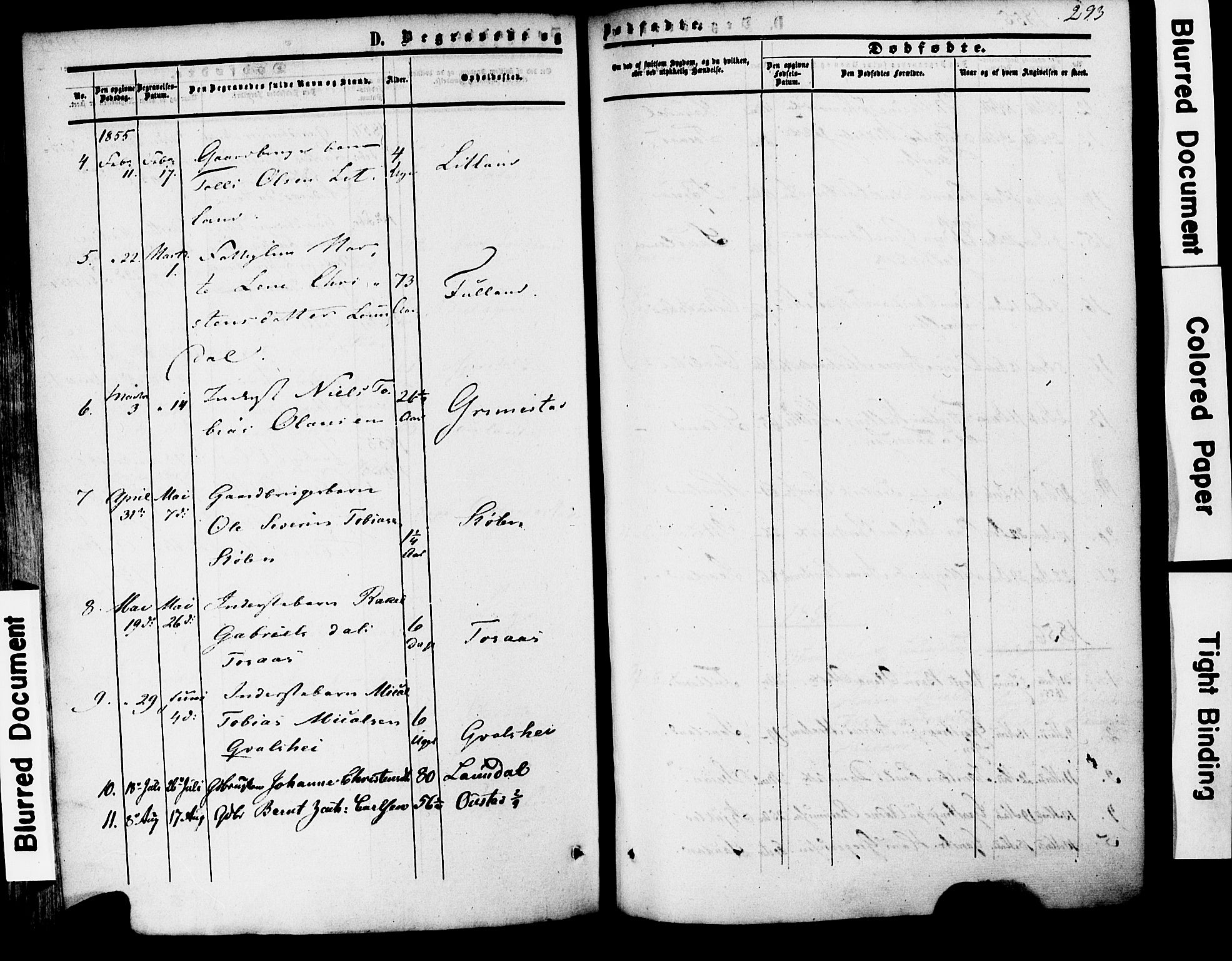 Herad sokneprestkontor, AV/SAK-1111-0018/F/Fa/Faa/L0005: Parish register (official) no. A 5, 1853-1886, p. 293